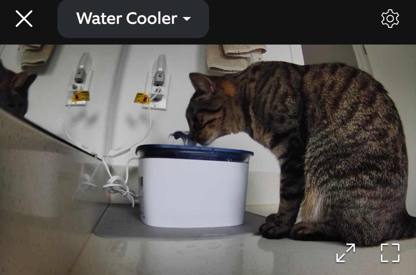 Veken Innovation Award Winner 95oz/2.8L Cat Water Fountain (Grey, Plastic) customer photo 1