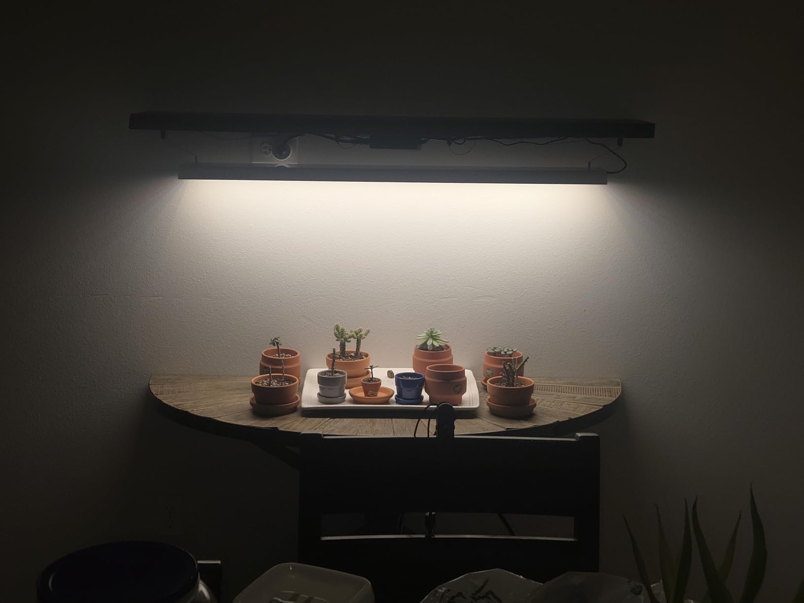 SF600 LED Grow Light, 72 Watt Plant Growing Lamp for 2x4 ft | Sunlike Full Spectrum LED Grow Lights for Indoor Plants, 11,000 Lumens High Efficiency Lamp for Seeding, Veg & Flower customer photo 1