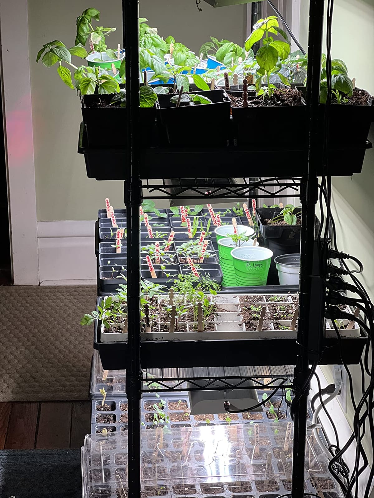 SF300 LED Grow Light, 32 Watt Plant Growing Lamp for 2x2.5 ft | Sunlike Full Spectrum LED Grow Lights for Indoor Plants, 5,000 Lumens High Efficiency Lamp for Seeding, Veg & Flower customer photo 2