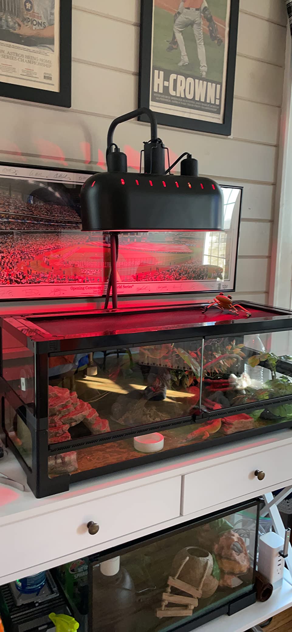 DXOPHIEX 15inch Dual Reptile Light Fixture Dual Reptile Heat Lamp | Max 150W, Separate Switches, Double Dome Lamp UVB Light Fixture for Bearded Dragon, Turtles, Snake and Lizard Terrarium customer photo 1