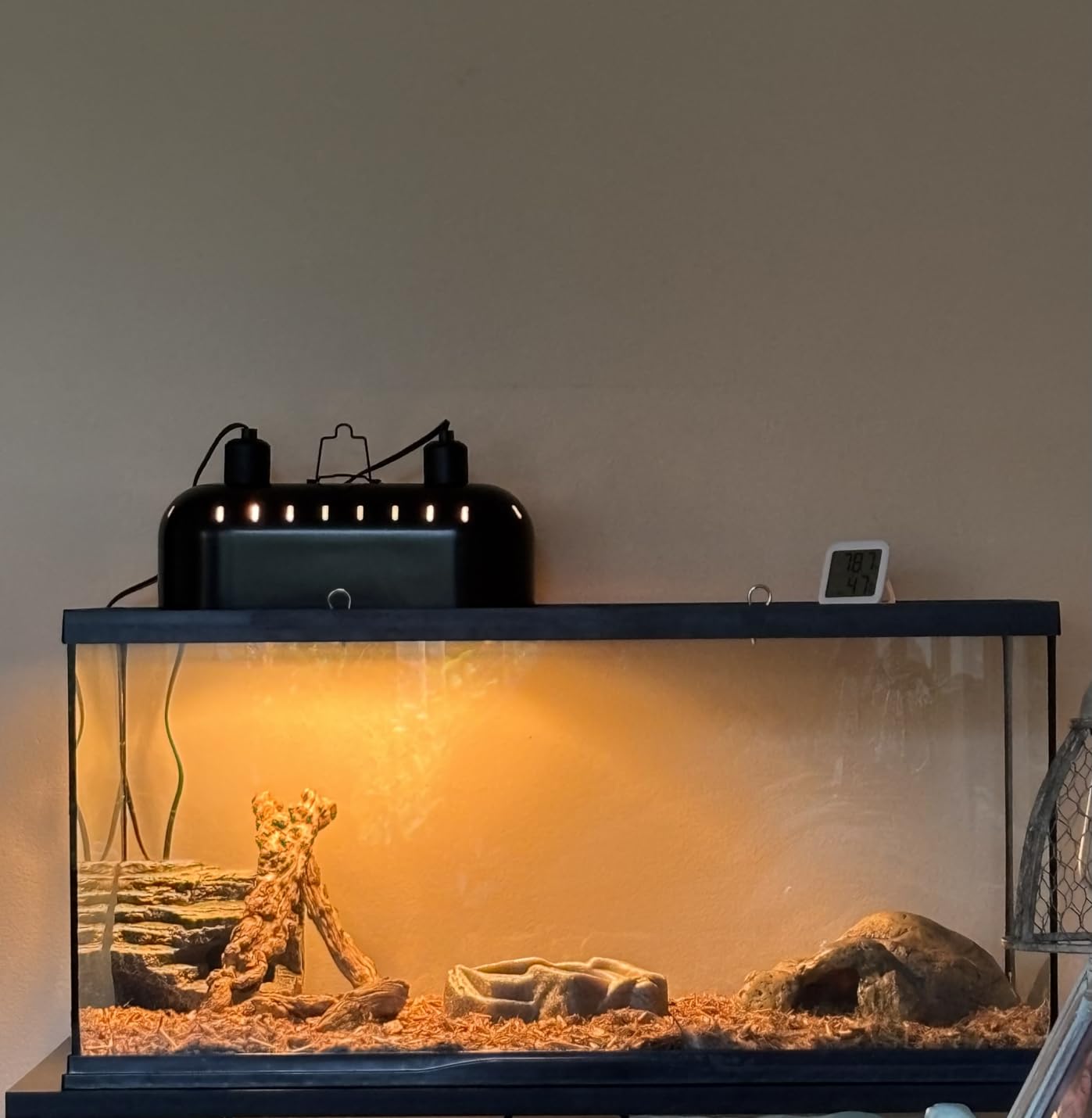 DXOPHIEX 15inch Dual Reptile Light Fixture Dual Reptile Heat Lamp | Max 150W, Separate Switches, Double Dome Lamp UVB Light Fixture for Bearded Dragon, Turtles, Snake and Lizard Terrarium customer photo 2