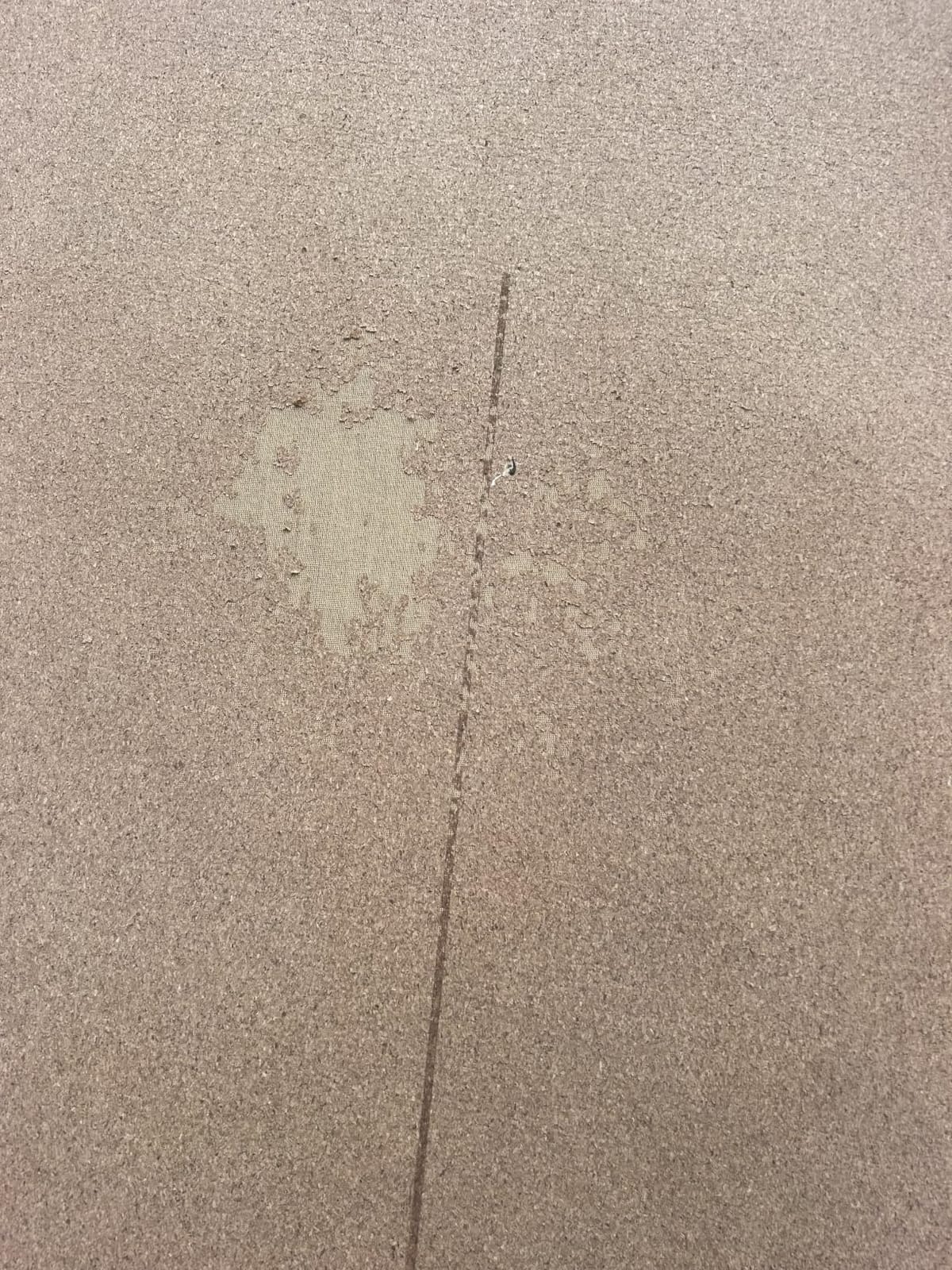 Premium Cork Yoga Mat with Alignment Marks - 5mm Thick, Non-Slip, Hot Yoga customer photo 2