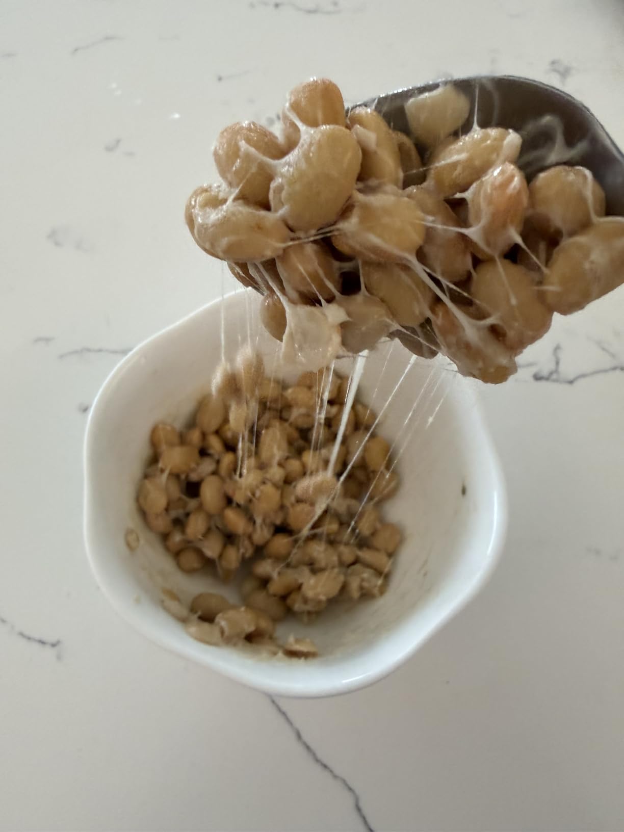 Kawashimaya Natto Starter Spores Powder 0.1oz (3g) for 22-66lbs Natto | Bacillus Subtilis from Soybean Extract to Make Homemade Natto customer photo 2