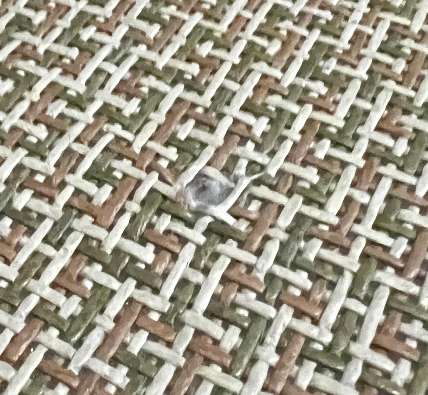 MYOYAY Large Japanese Tatami Mat 71x 71in Large Summer Breathable Sleeping Mat Foldable Rattan Floor Mat Non-Slip Memory Foam Stitching Carpet Crawling Mats Living Room Bedroom Playroom Yoga customer photo 1