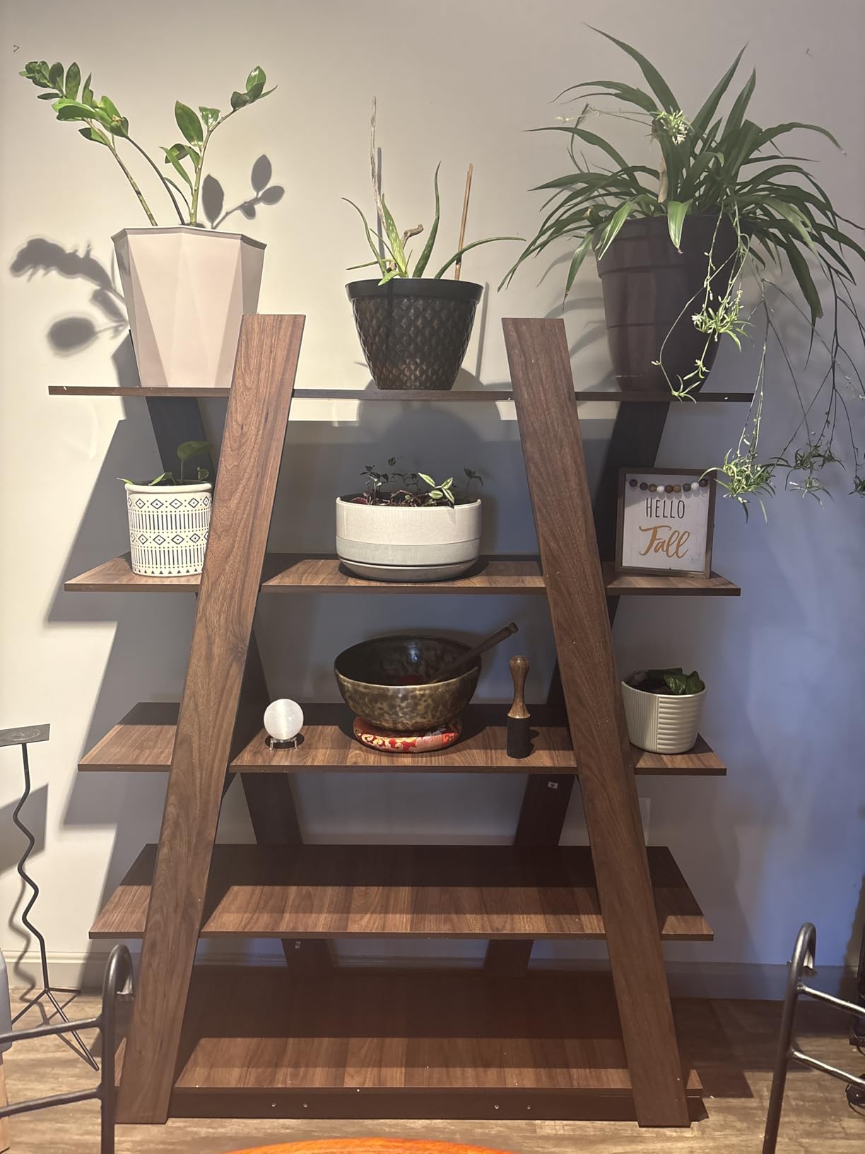 Baxton Studio Michio 5-Shelf 61-inch H Display Shelf, Walnut customer photo 2