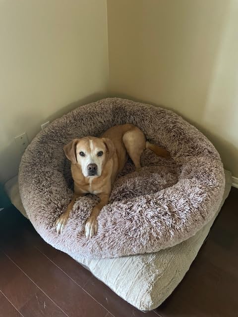 Bedfolks Calming Fluffy Donut Dog Bed for Large Dogs, Dark Grey, 36