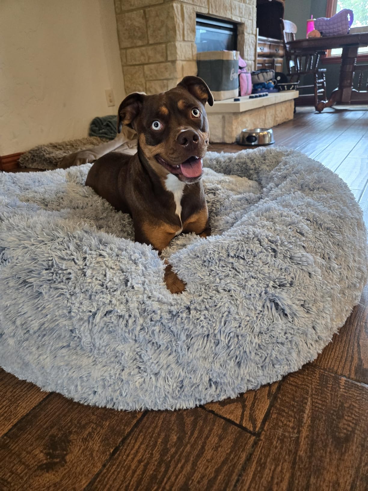 Bedfolks Calming Fluffy Donut Dog Bed for Large Dogs, Dark Grey, 36