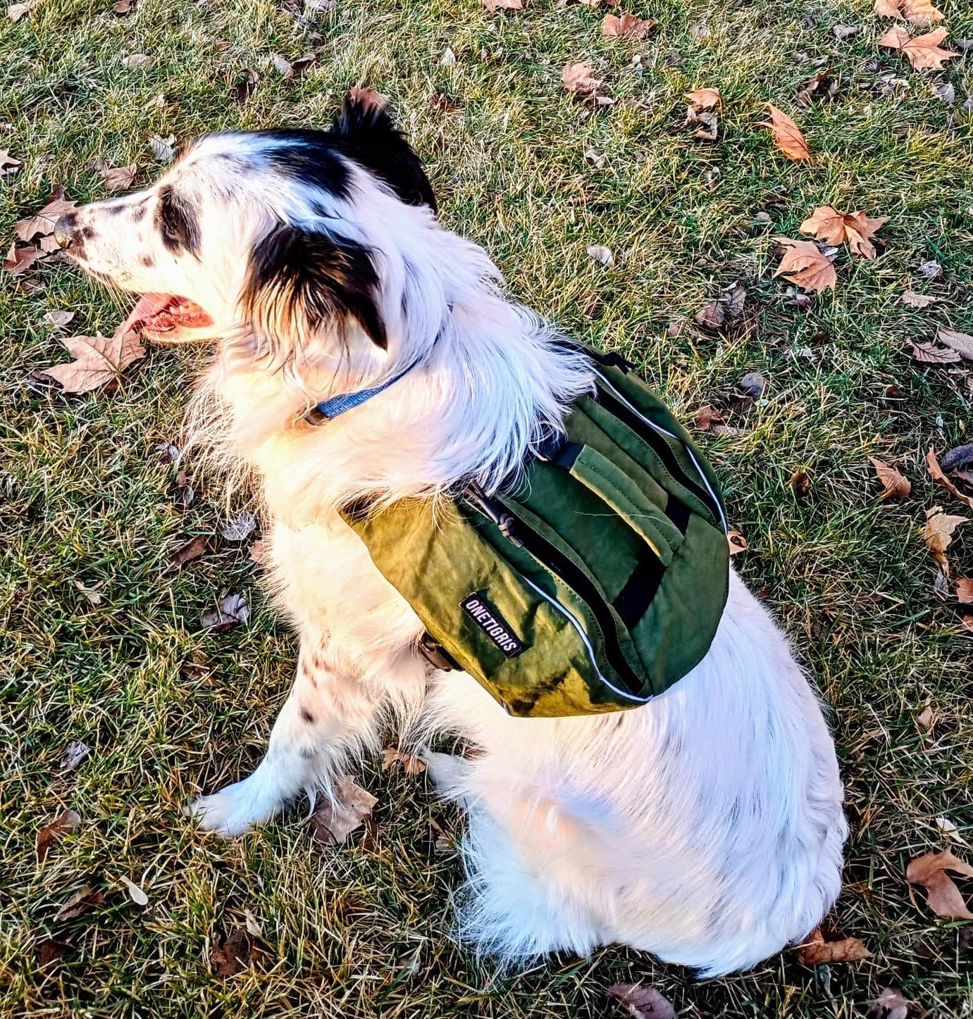 ONETIGRIS Y-Shaped Dog Backpack with Handle, Pockets & No Pull D-Rings, Lightweight Hiking Gear for Dogs Hunting Camping Travel (Medium, Green) customer photo 2