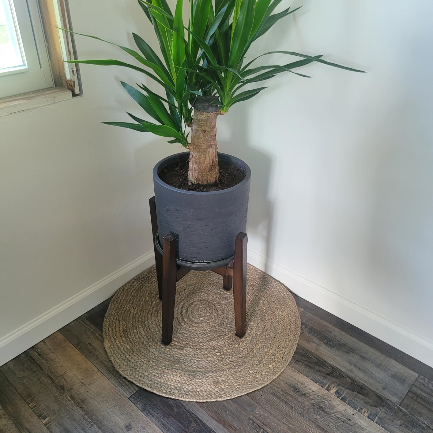 OERGKE Adjustable Plant Stand, Bamboo Mid Century Modern Indoor Plants Stands, Corner Flower Holder for Living Room, Fits 8 to 12 Inches Pots, (Pot & Plant Not Included)(Walnut, 1 Pack) customer photo 1