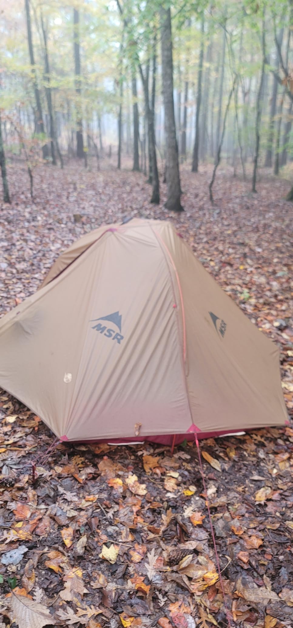 MSR FreeLite 2-Person Ultralight Backpacking Tent customer photo 2