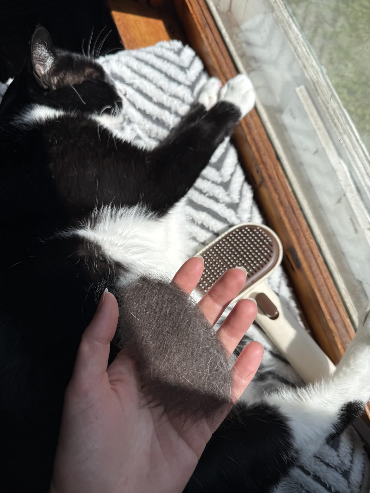 Aumuca Skin Friendly Self-Cleaning Slicker Brush for Dogs & Cats, Gentle Pet Grooming Tool for Shedding & Deshedding, Efficient Hair Remover for Long & Short Haired Pets customer photo 1