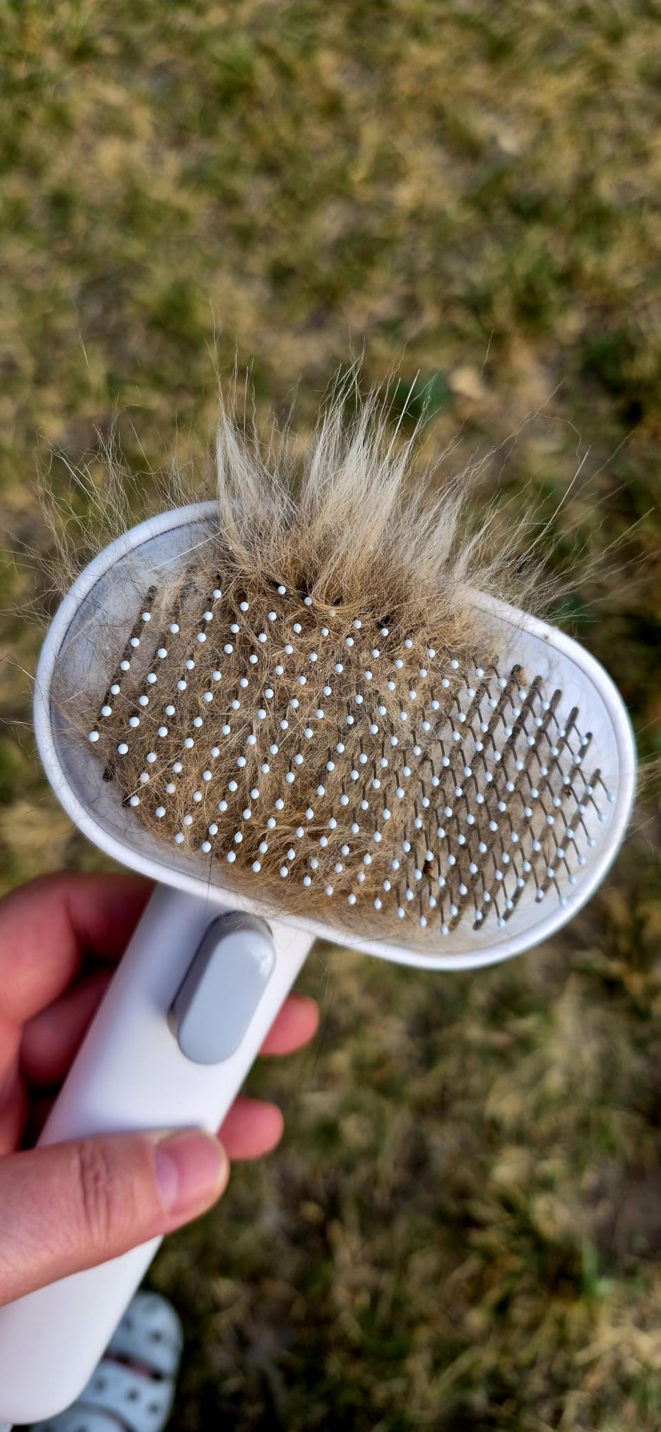 Aumuca Skin Friendly Self-Cleaning Slicker Brush for Dogs & Cats, Gentle Pet Grooming Tool for Shedding & Deshedding, Efficient Hair Remover for Long & Short Haired Pets customer photo 2