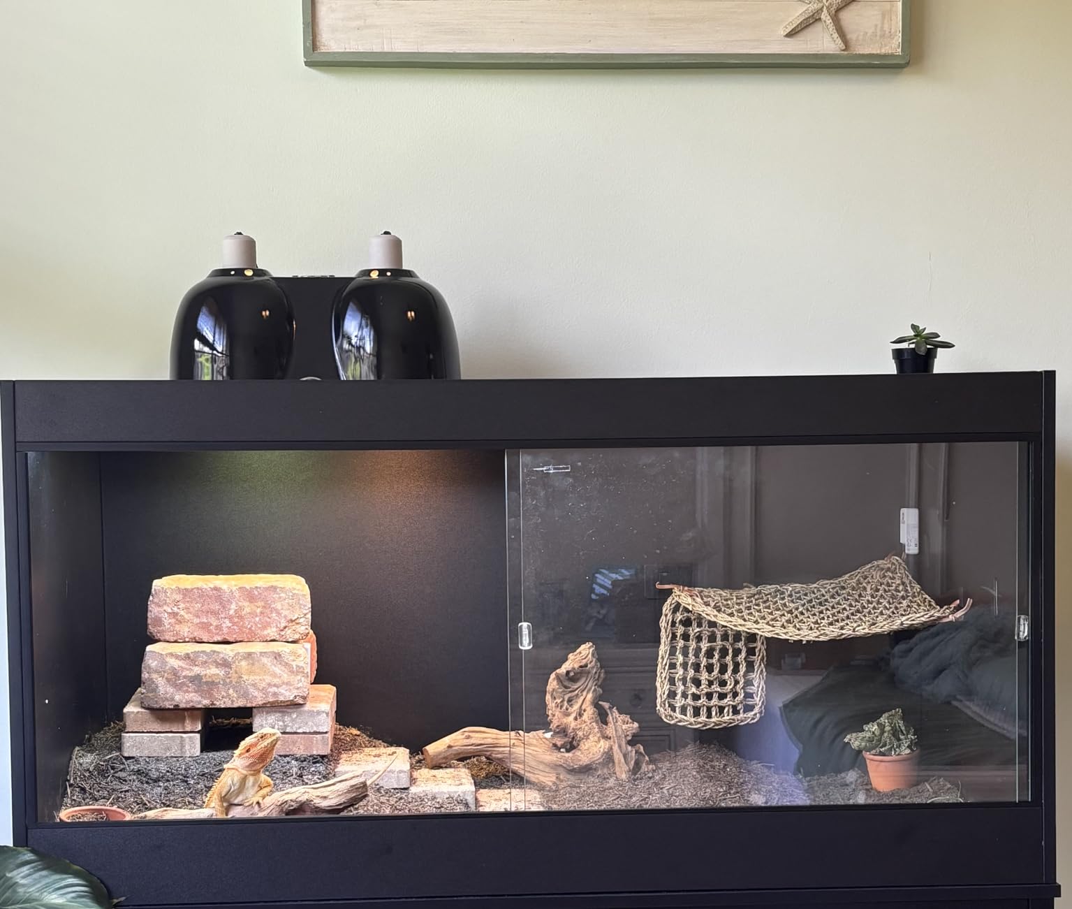 Arcadia T5 UVB Reptile Light Fixture Kit 34
