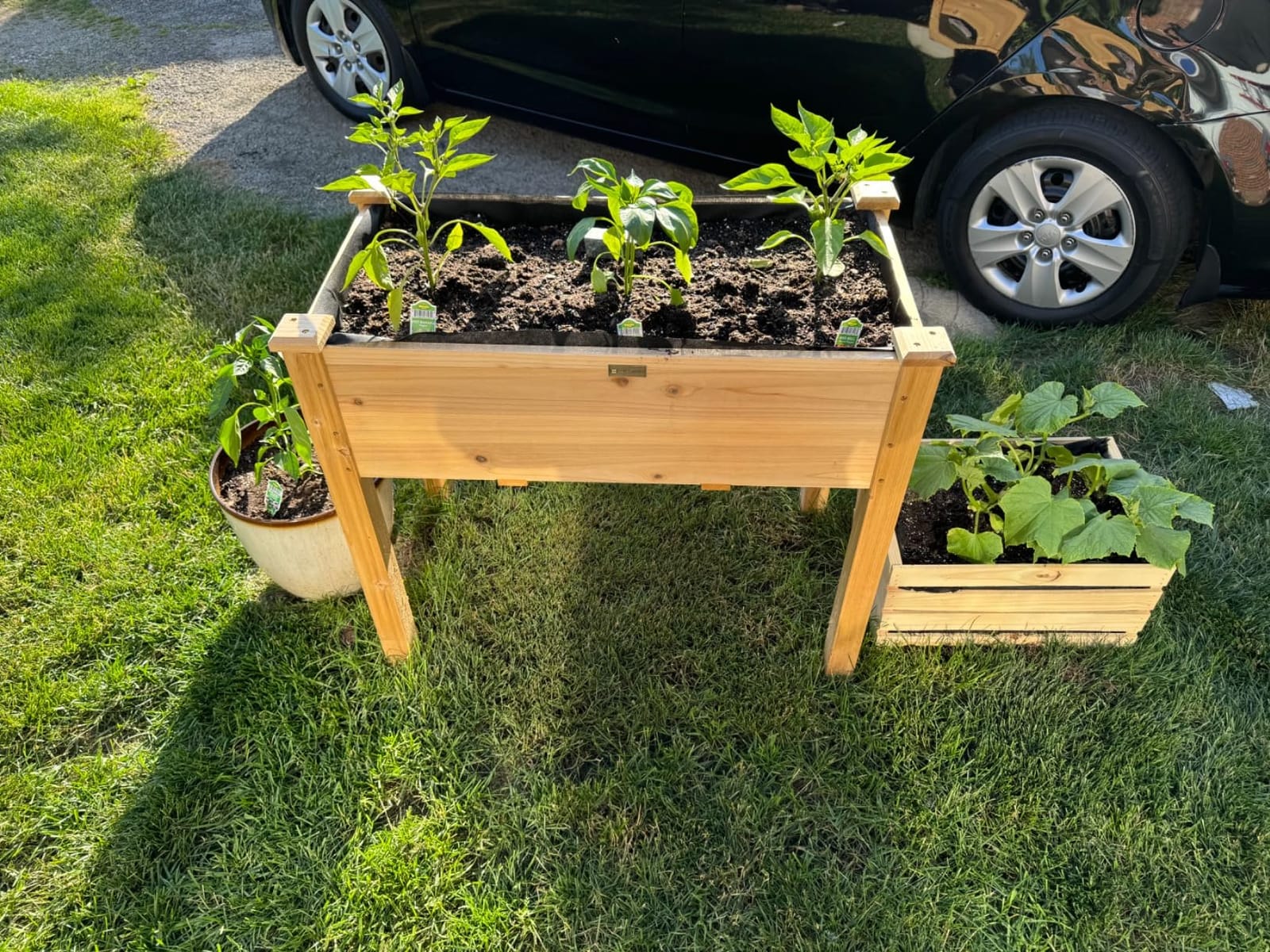 Best Choice Products 34x18x30in Raised Garden Bed, Elevated Wood Planter Box Stand for Kids, Backyard, Patio, Balcony w/Bed Liner, 150lb Capacity - Natural customer photo 2