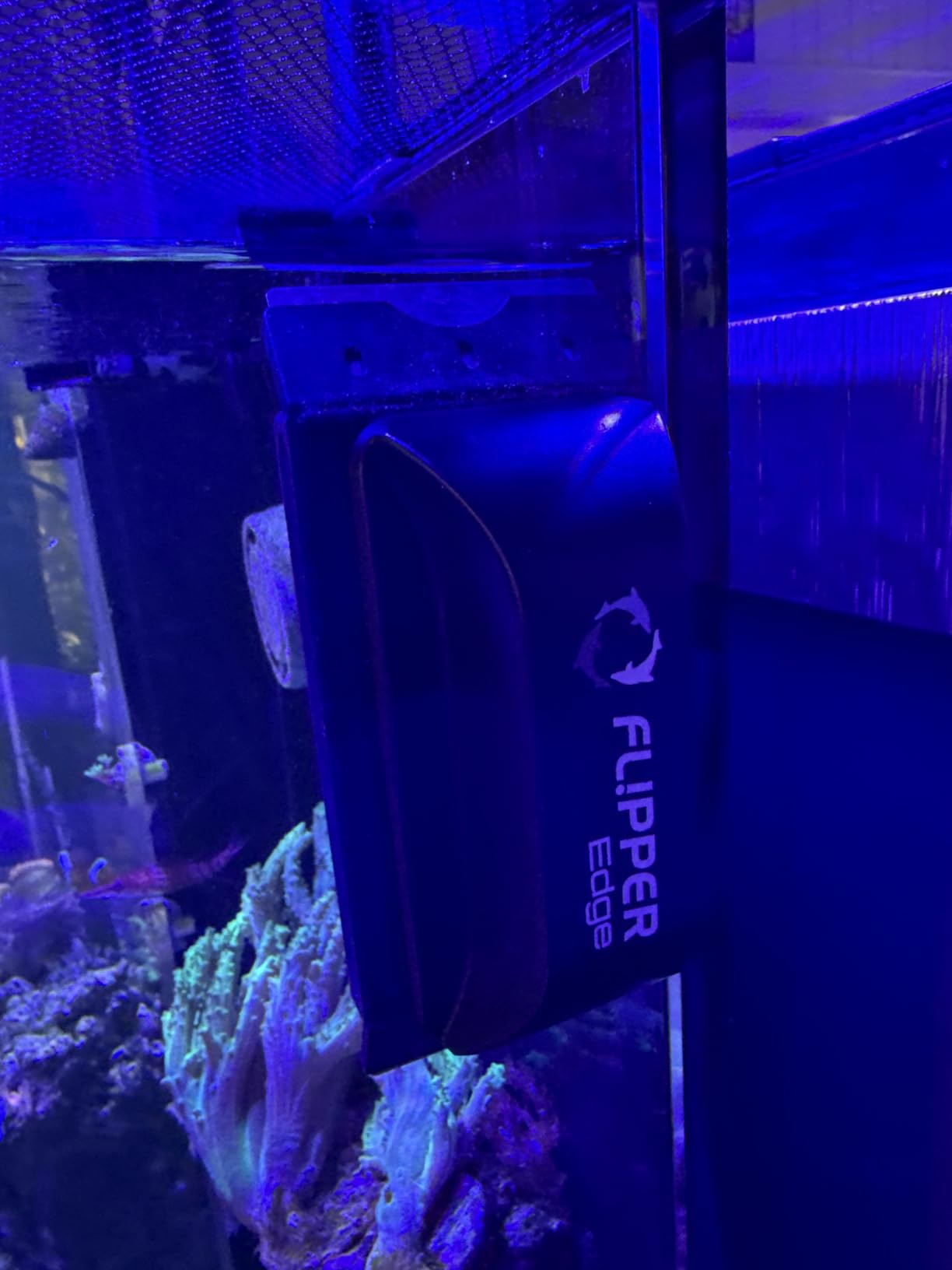 FLIPPER EDGE MAX Magnetic 2-in-1 Aquarium Cleaner for Glass and Acrylic Tanks up to 1 Inch (24mm) Thick - Dual Blade Design with Floating Algae Scraper and Cleaning Tool - Black customer photo 2