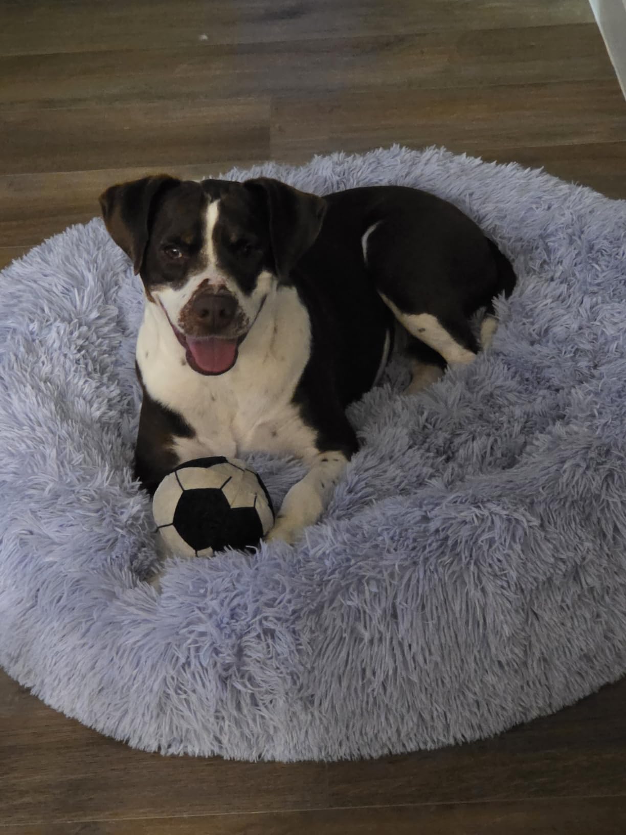 Best Friends by Sheri Original Calming Donut Dog Bed, Gray, Large, 36