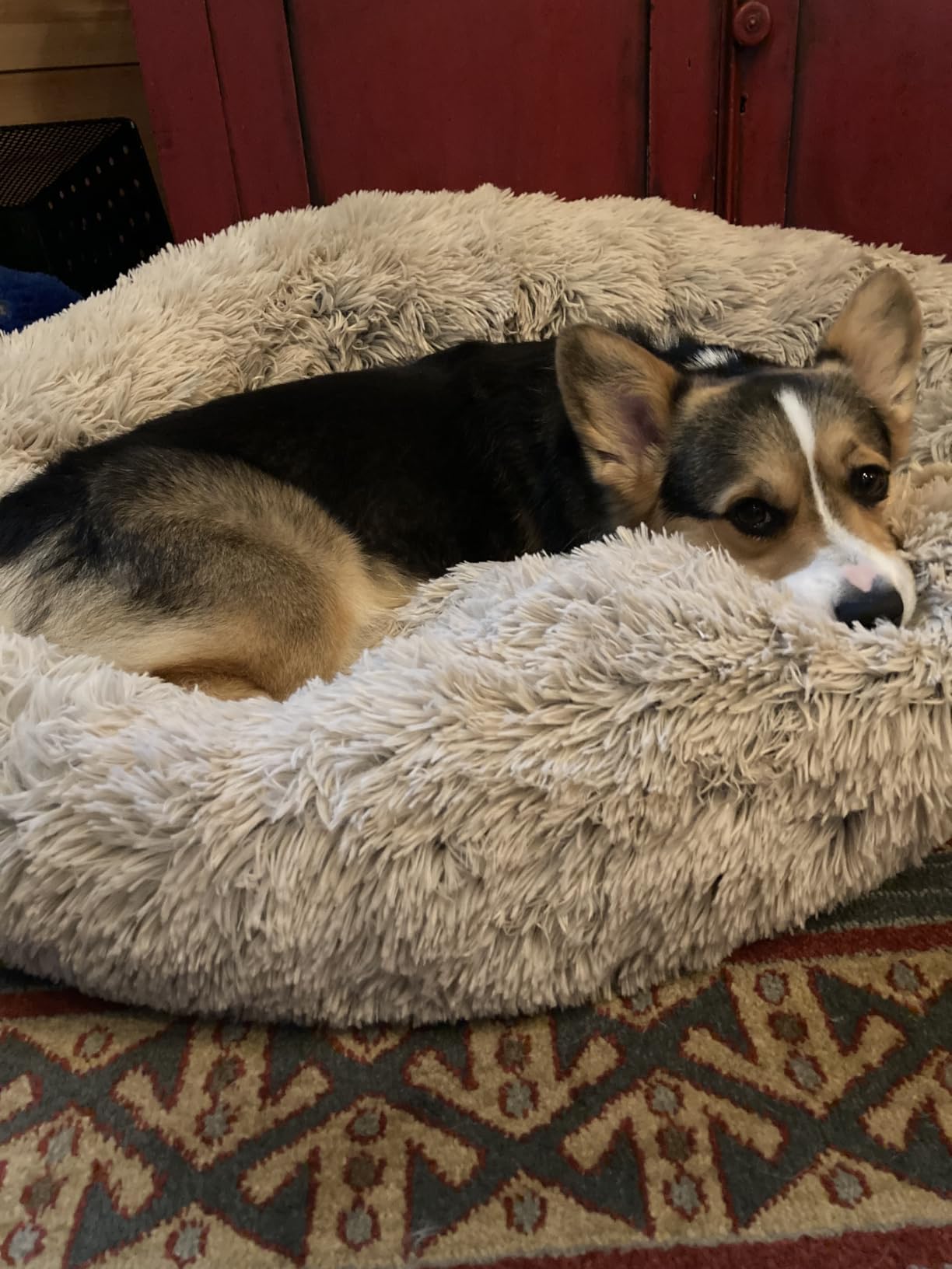 Best Friends by Sheri Original Calming Donut Dog Bed, Gray, Large, 36
