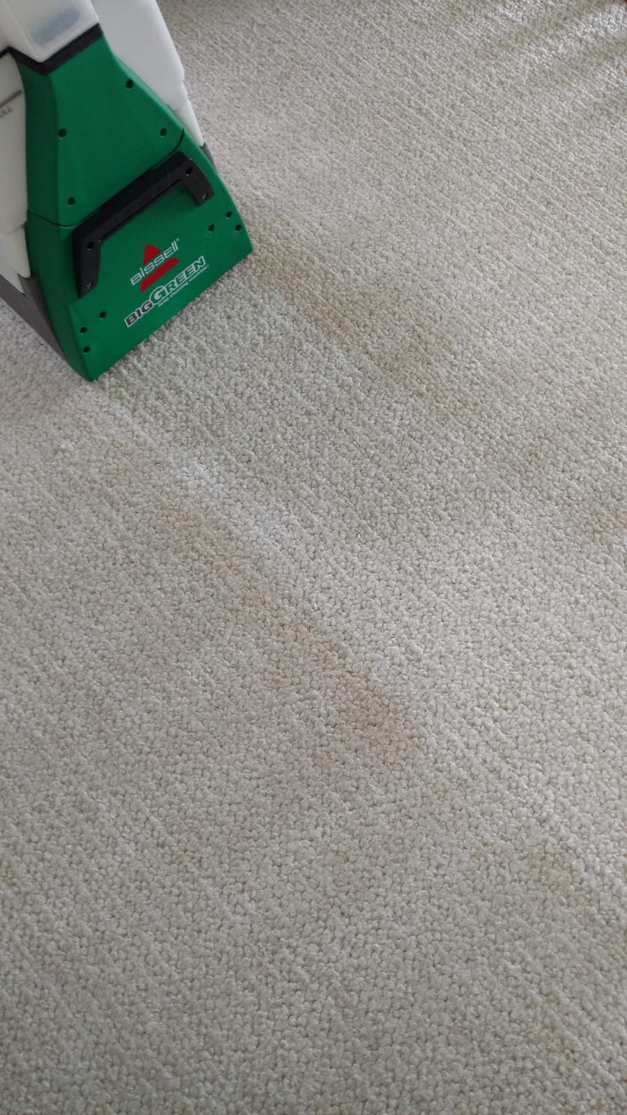 BISSELL Big Green PET PRO Carpet Cleaner, XL DirtLifter PowerBrush | 8-row PowerBrush; 9-in. hose; 2 upholstery tools; Pet Pro Oxy Urine Eliminator Formula included customer photo 1