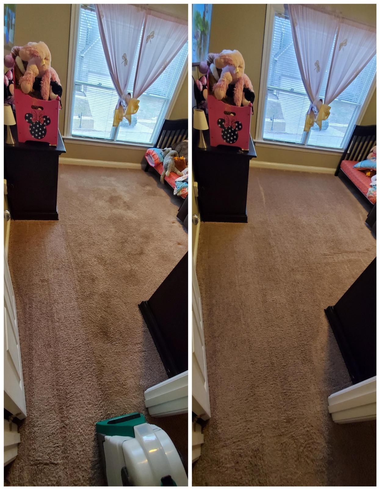 BISSELL Big Green PET PRO Carpet Cleaner, XL DirtLifter PowerBrush | 8-row PowerBrush; 9-in. hose; 2 upholstery tools; Pet Pro Oxy Urine Eliminator Formula included customer photo 2