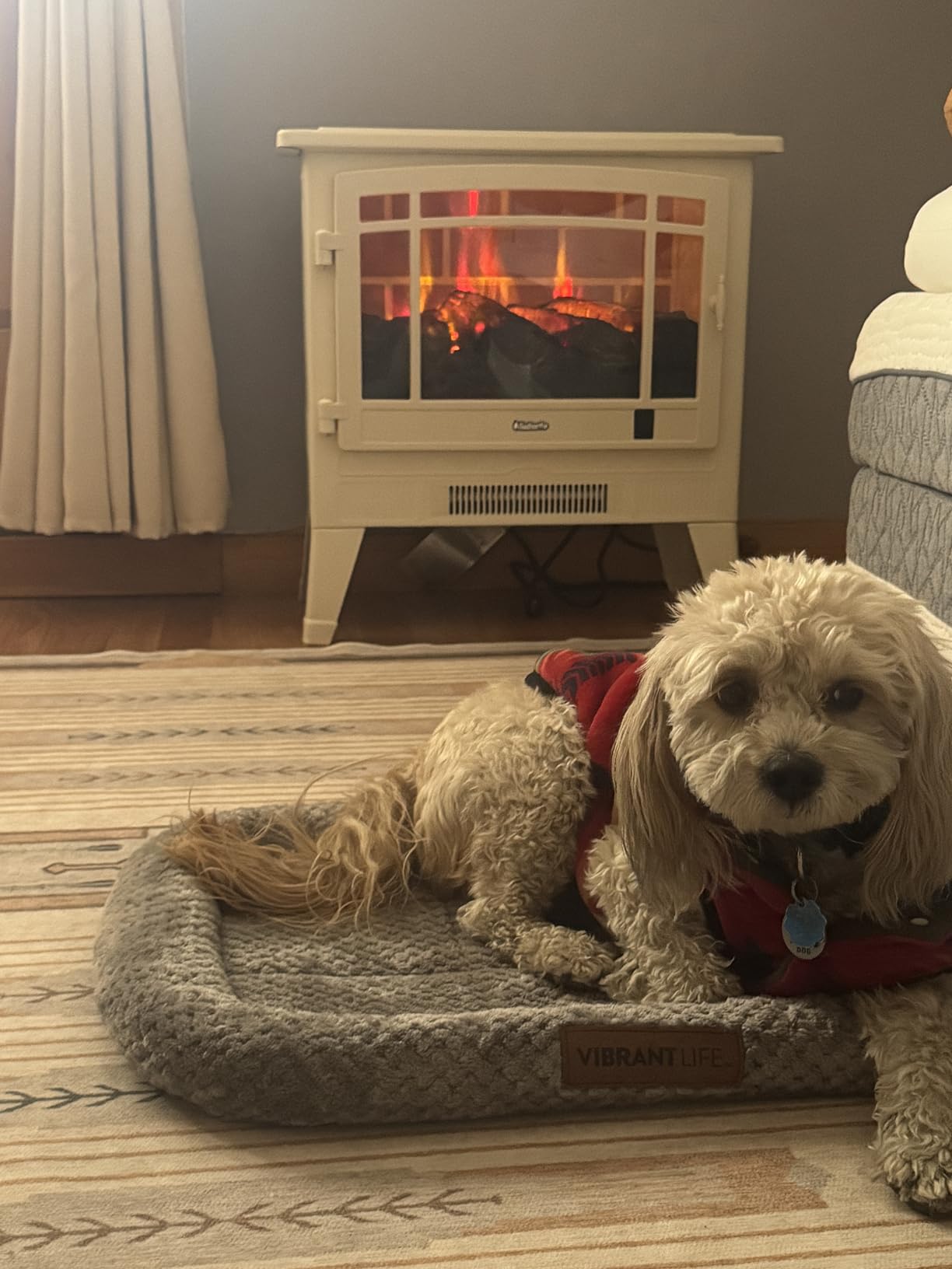 TURBRO Suburbs TS17Q Infrared Electric Fireplace Stove, 19