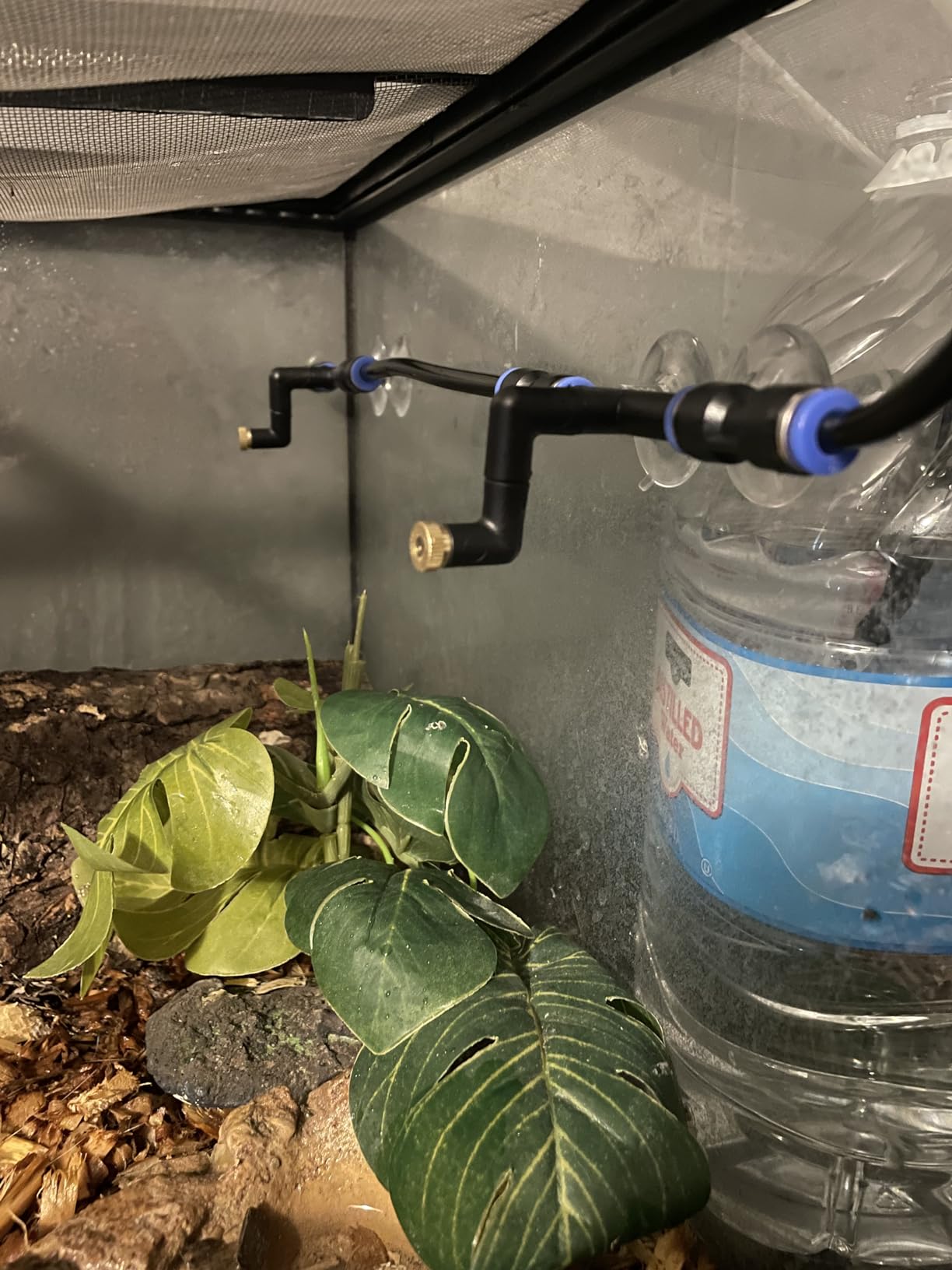 REPTI ZOO Reptile Humidifier, Mini Automatic Misting System for Reptile Terrariums, Rainforest Spray System with Adjustable Spray Nozzles customer photo 1