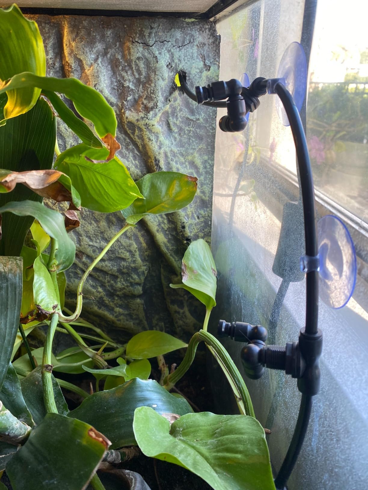 Reptile Mister Automatic Misting System, Reptile Humidifiers for Terrariums, Reptile Misting System with Programmable Timer & 6PCS Adjustable 360° Nozzles, for a Variety of Reptiles/Amphibians/Herbs customer photo 2