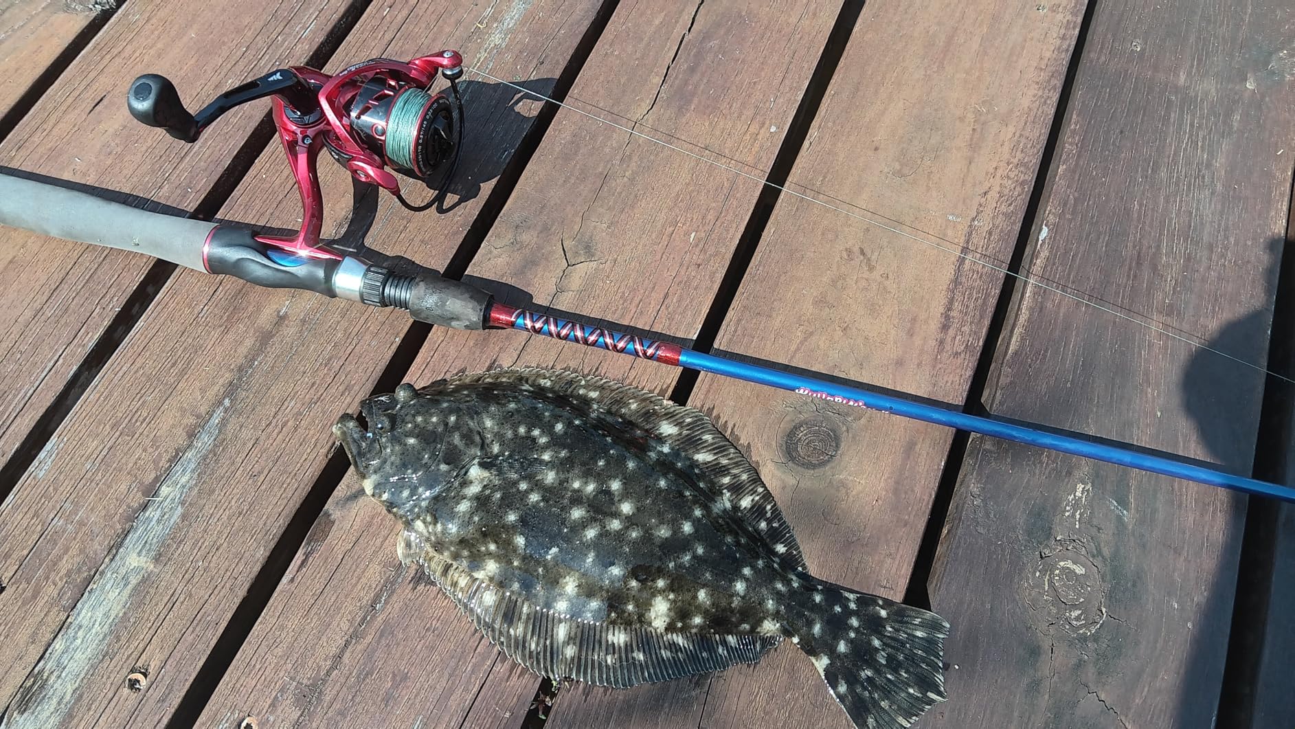 KastKing Royale Legend Spinning Fishing Reels, Available in 5.2:1 and 6.2:1 | Max Drag: 22 lb, 7+1 Stainless Steel BB, 10 oz, Zero-Rust Graphite Frame and Rotor, Aluminum Spool, Rubber Handle customer photo 2