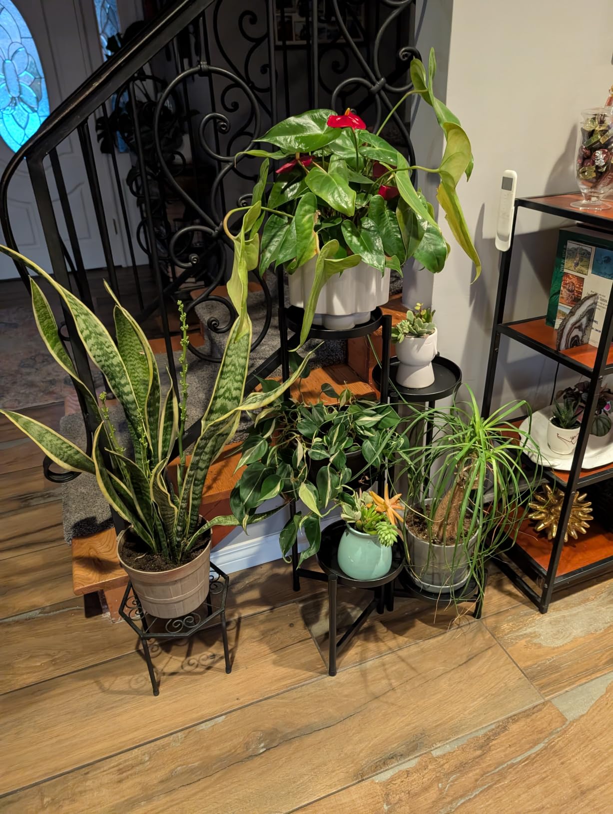 iDavosic.ly Plant Stand Indoor Outdoor, 5 Tier Corner Metal Flower Display Holder Shelf, Folding Tall Orchid Rack for Patio Balcony Porch Garden Living Room House, Black customer photo 2