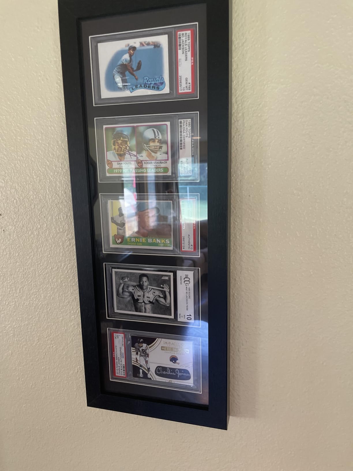 Bivitre Graded Card Display Frame - Compatible with PSA, CGC and TAG Slabs | Wall-Mount Trading Card Display Case for Sports Cards, Pokémon, and MTG customer photo 1