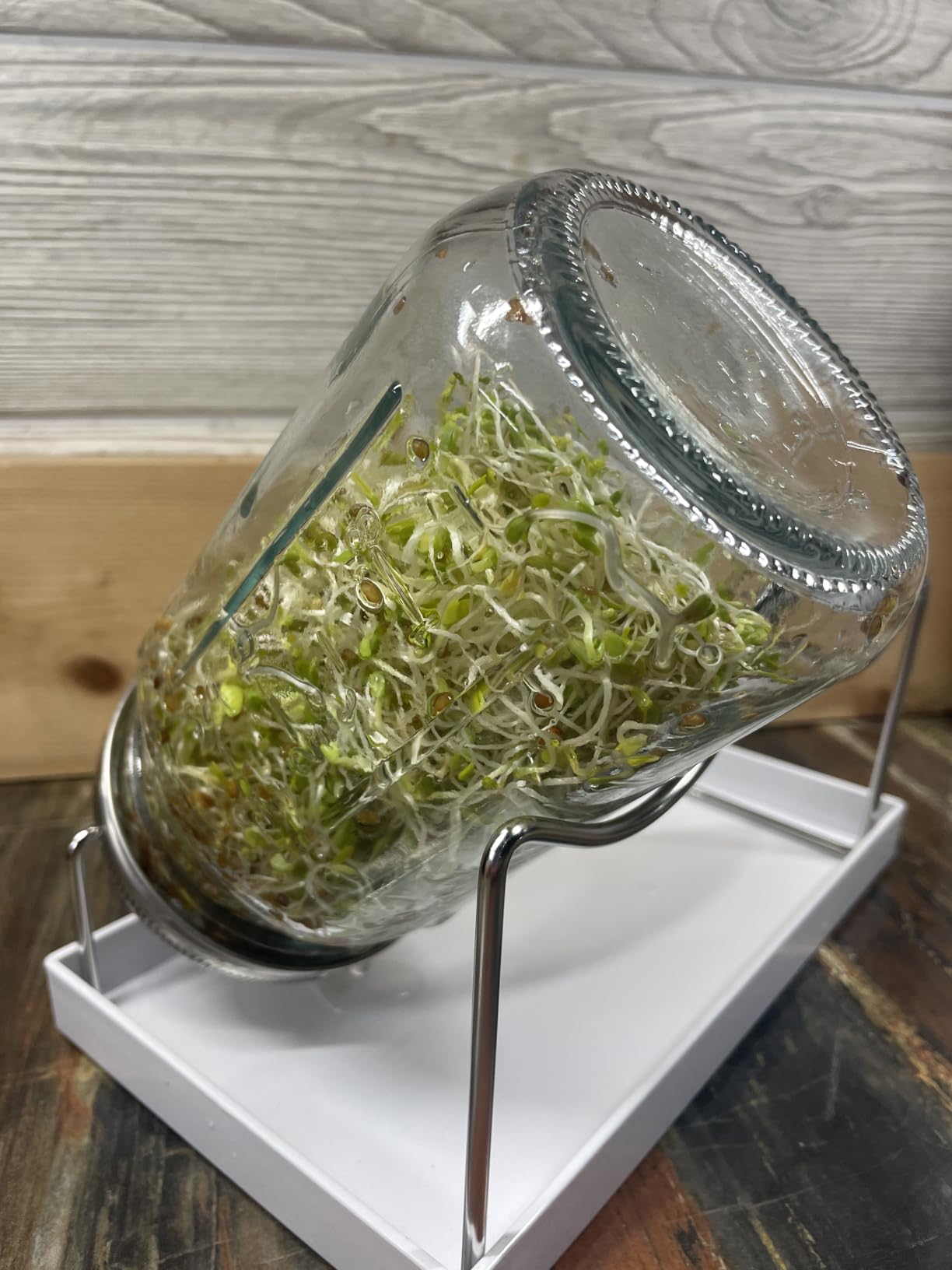 Kitmiido Seed Sprouting Kit, 2 Large Wide Mouth Mason Jars with Sprout Lids, Blackout Sleeves, Drain Tray, Stainless Steel Stand, Sprouts Growing Kit for Bean, Broccoli, Alfalfa (Yellow+Green) customer photo 2