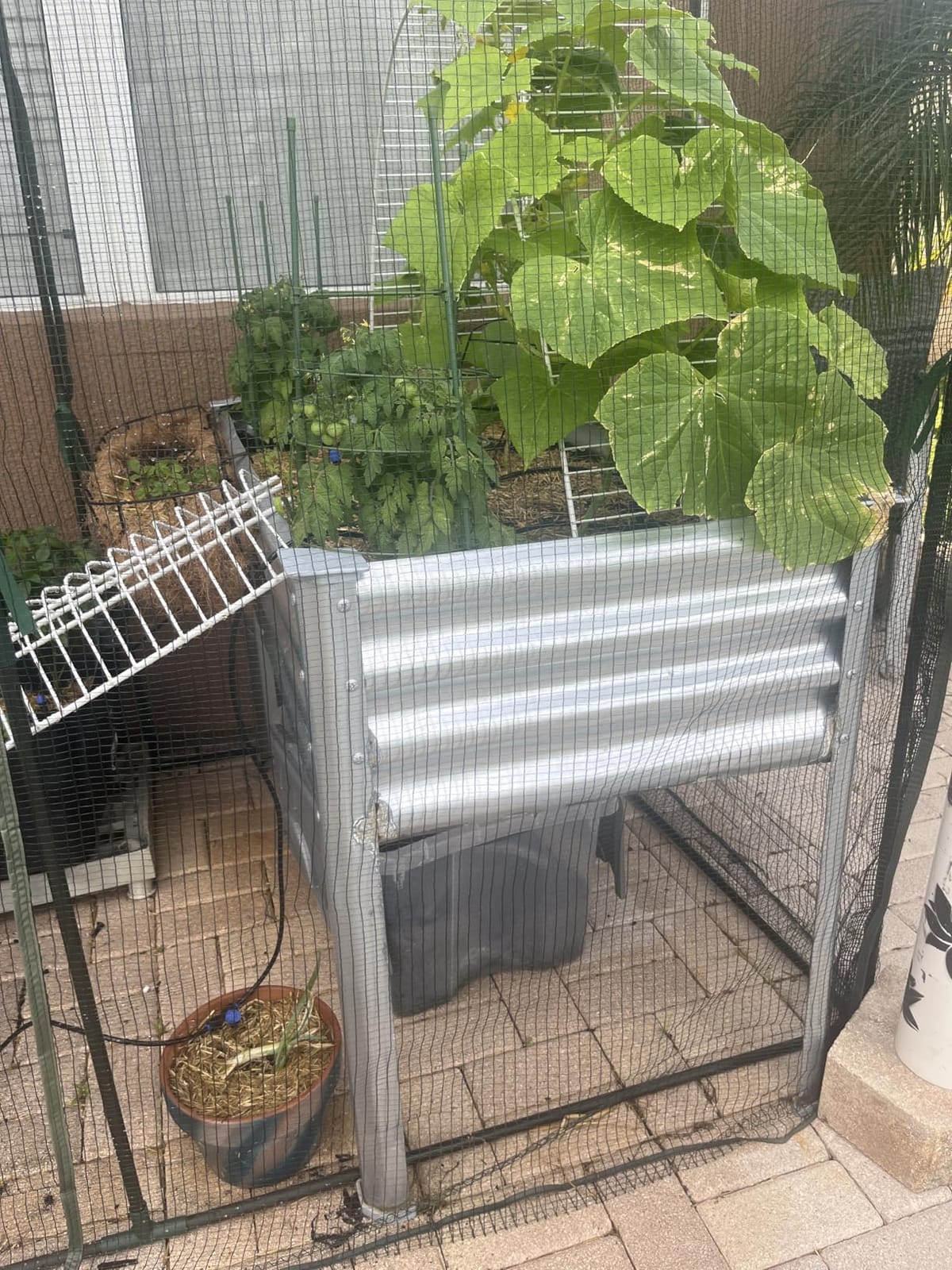 Land Guard Galvanized Raised Garden Bed with Legs, 48x24x32in Large Metal Elevated Raised Planter Box with Drainage Holes for Backyard, Patio, Balcony, 700lb Capacity customer photo 1