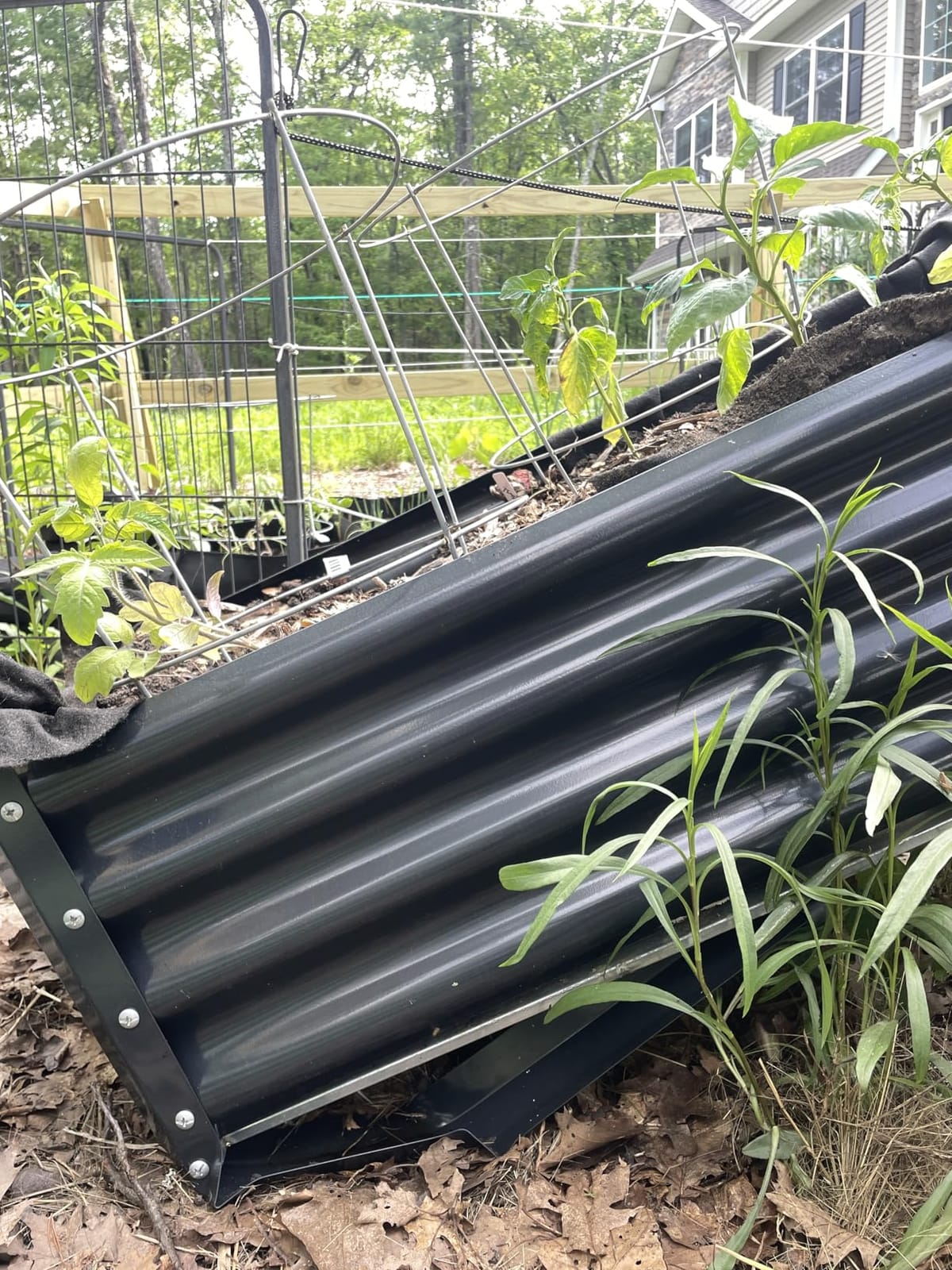 Land Guard Galvanized Raised Garden Bed with Legs, 48x24x32in Large Metal Elevated Raised Planter Box with Drainage Holes for Backyard, Patio, Balcony, 700lb Capacity customer photo 2