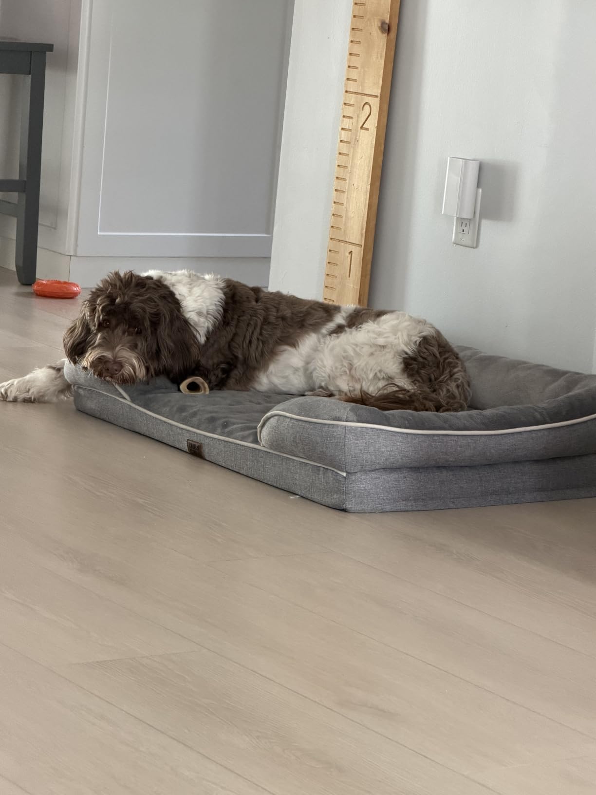 EHEYCIGA Orthopedic Dog Beds Large Sized Dog, Waterproof Memory Foam Pet Bed with Sides, Non-Slip Bottom Large Pet Bed with Washable Removable Cover, Grey customer photo 2