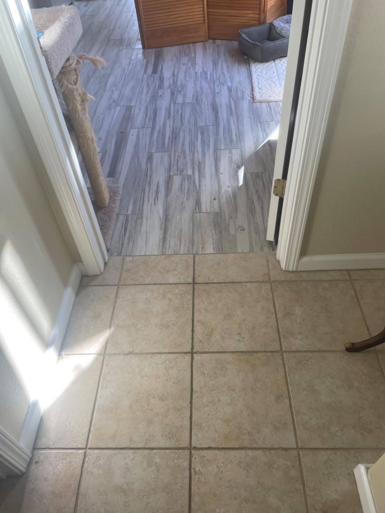 Bissell CrossWave HydroSteam 3-in-1 Wet Dry Vacuum Mop, 35151 customer photo 1