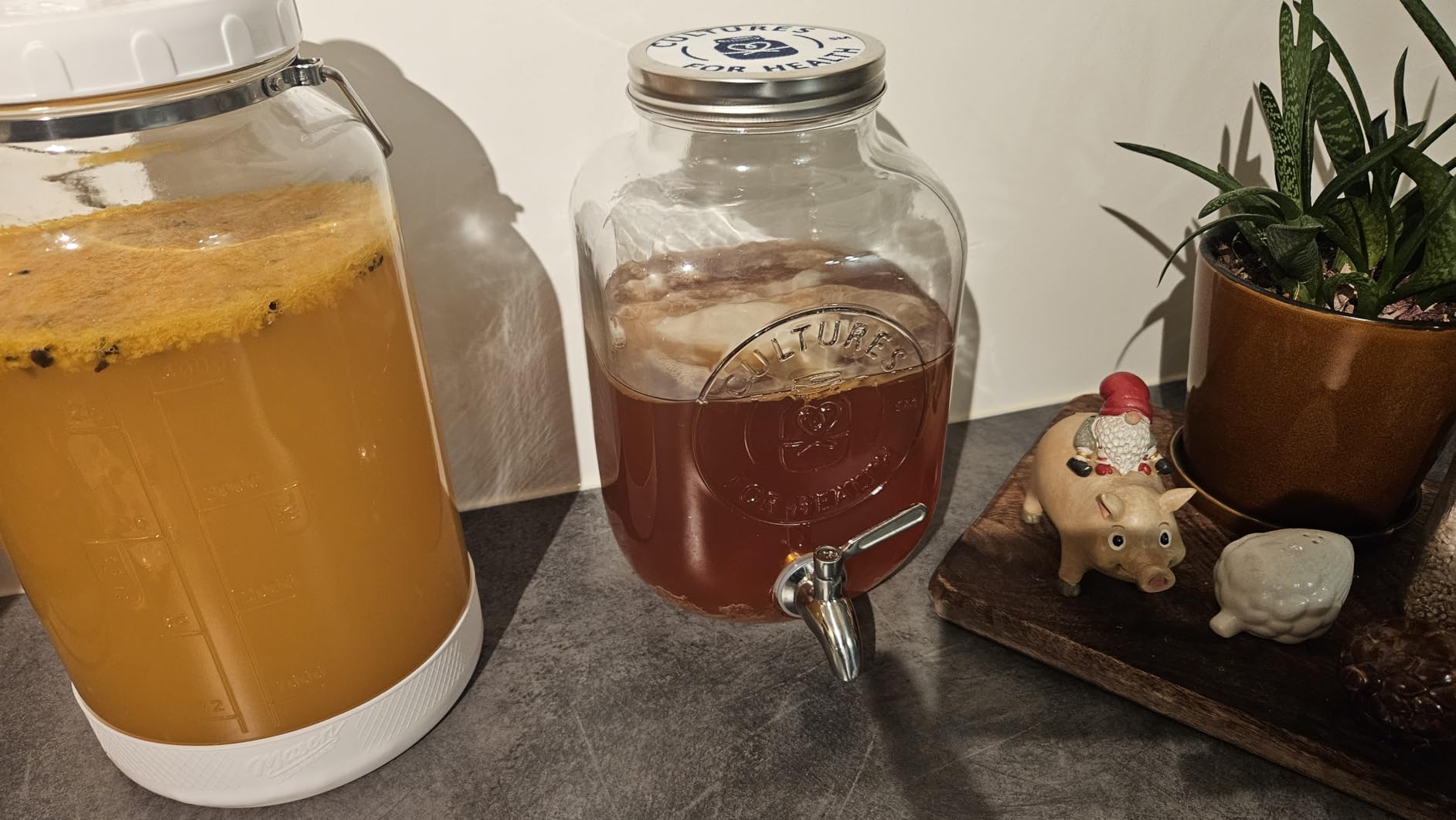 Cultures for Health Continuous Kombucha Brewing Jar with Spigot | 5 Liter Glass Jar with Spout for DIY Fermentation | Long Term Kombucha SCOBY Hotel Jar | Daily Kombucha Tea Probiotic Drink Dispenser customer photo 1