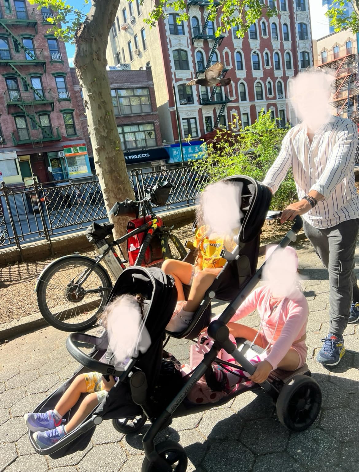 Evenflo Pivot Xpand Modular Stroller (Ayrshire Black) customer photo 1