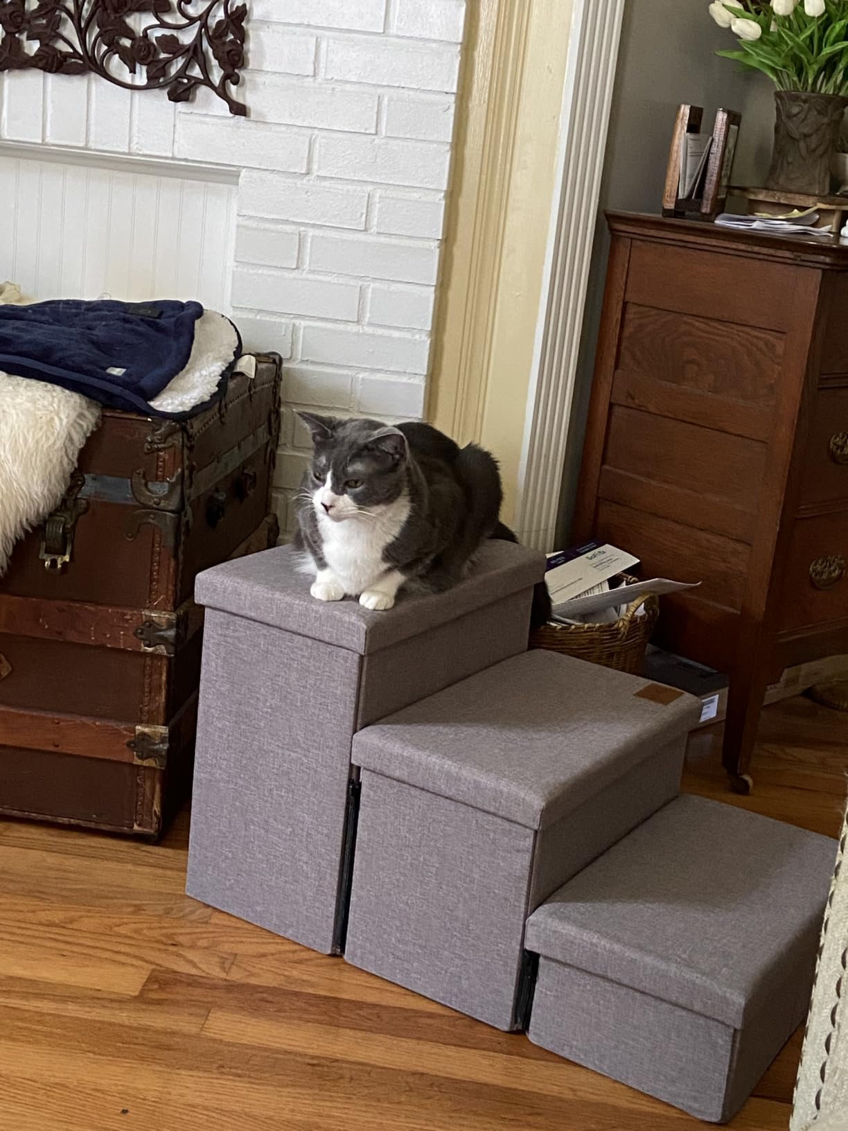 Love's cabin Dog Stairs for High Bed, Foldable Pet Stairs for Small Medium or Large Dogs Puppy with Storage for Bed or Couch, Cat Dog Steps Ramp with Zip up to 200 lbs, Solid Grey, 3 Steps customer photo 1