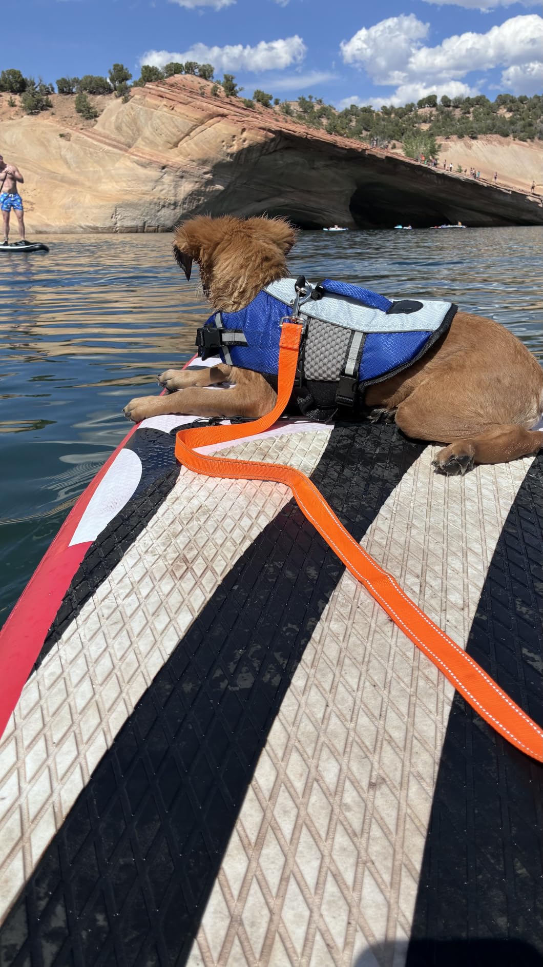 Queenmore Lightweight Dog Life Jacket Swimming Vest for Small Medium Dogs | Reflective Neoprene Dog Life Lifesaver for Boating Kayaking, Red, M customer photo 2
