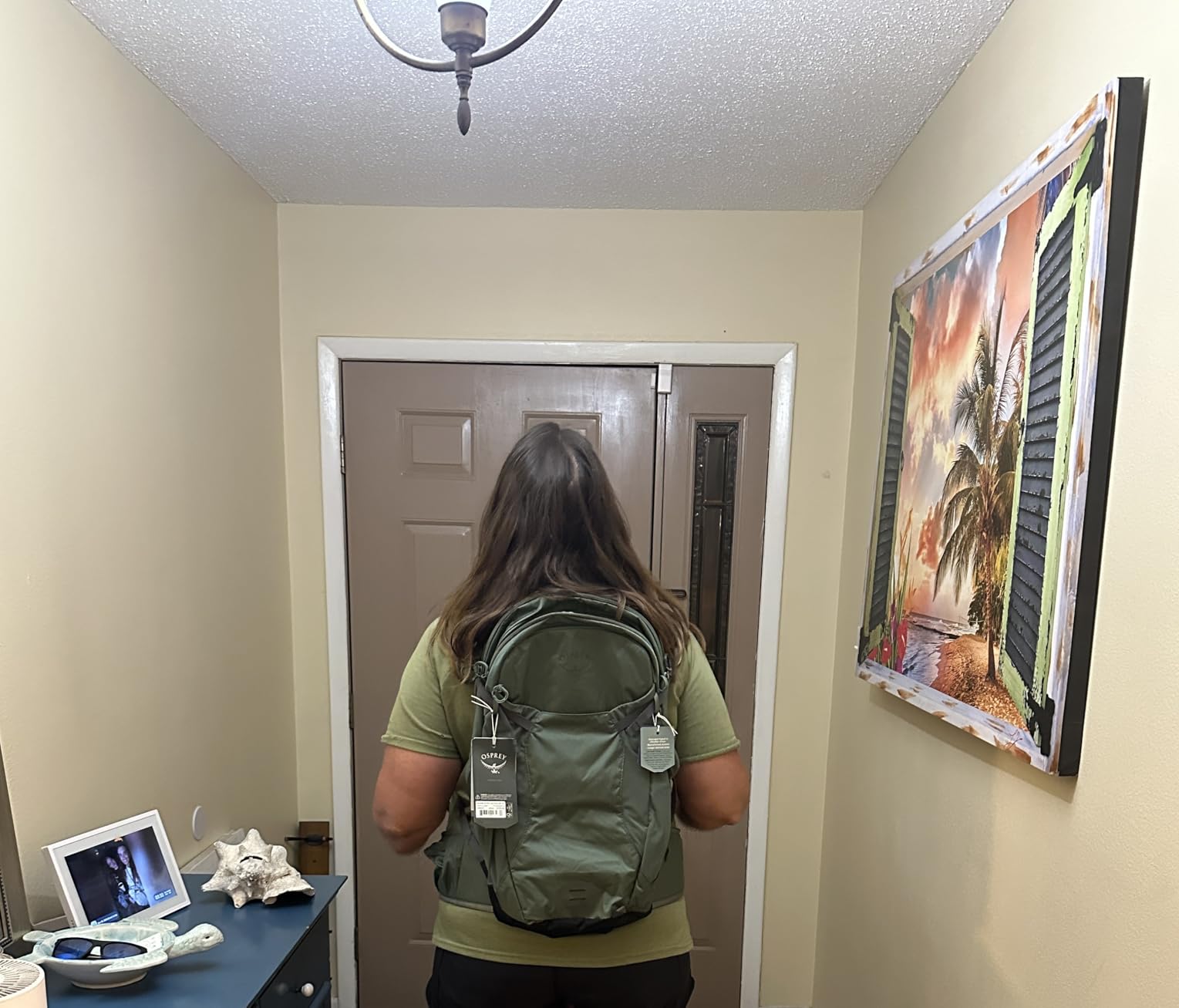 Osprey Sportlite 25L Lightweight Hiking Backpack for Men and Women, Pine Leaf Green, M/L, Extended Fit customer photo 2
