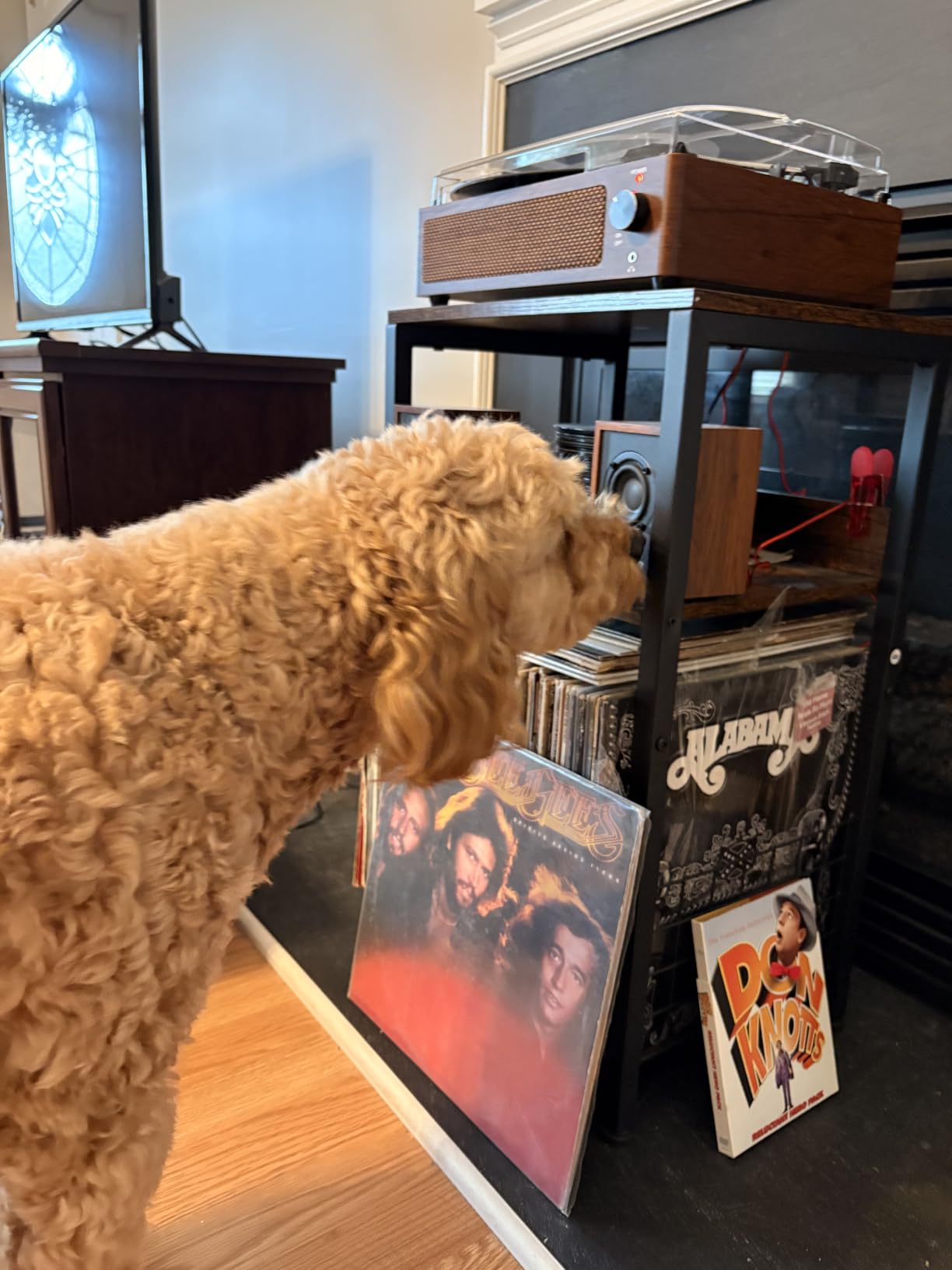 LELELINKY 3 Tier End Table, Record Player Stand with Storage Up to 100 Albums, Turntable Stand for Vinyl, Brown Records Shelf for Living Room Bedroom customer photo 2
