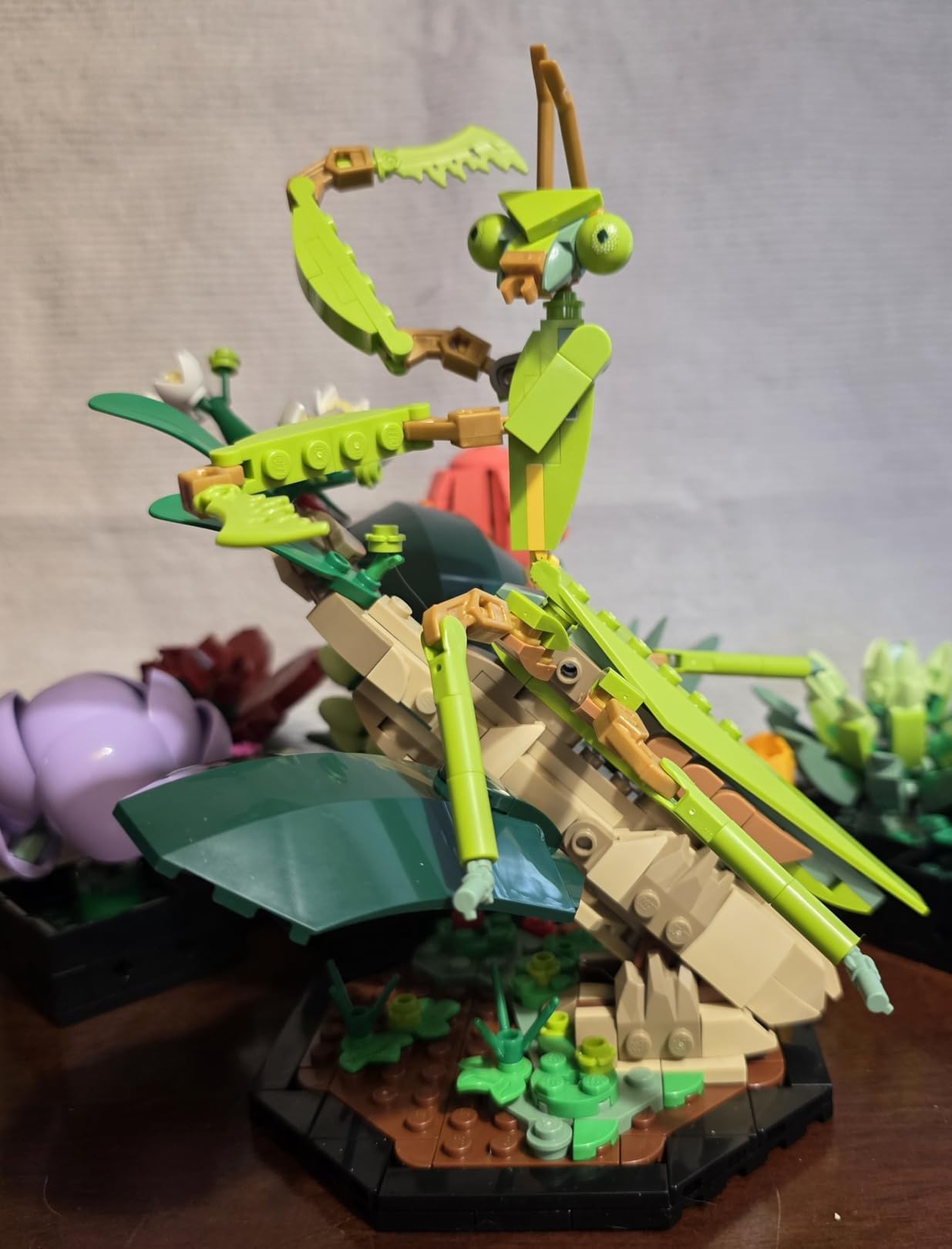 LEGO Ideas The Insect Collection, Fun Gift for Nature Lovers, with Life-Size Blue Morpho Butterfly, Hercules Beetle and Chinese Mantis Display Models, Bug Building Set and Nature Décor, 21342, 18+ customer photo 1