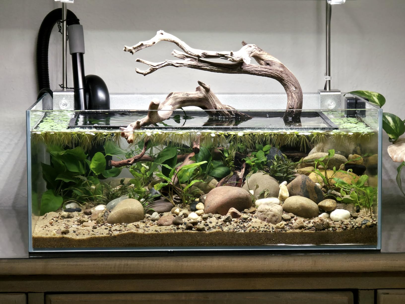 Fzone 9Gal Sharrow Rimless Low Iron Fish Tank Nova Clear Ultra-White 45° Mitered Edges Translucent Glass Anata Series Aquarium w/Black Foam Leveling Mat customer photo 1