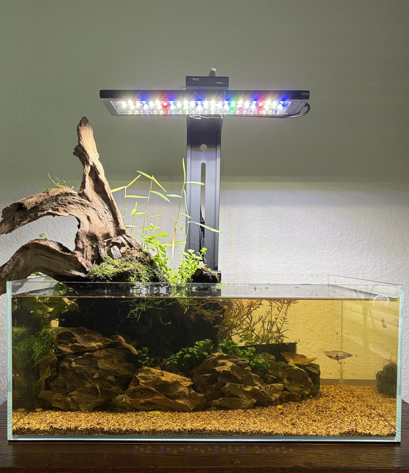 Fzone 9Gal Sharrow Rimless Low Iron Fish Tank Nova Clear Ultra-White 45° Mitered Edges Translucent Glass Anata Series Aquarium w/Black Foam Leveling Mat customer photo 2