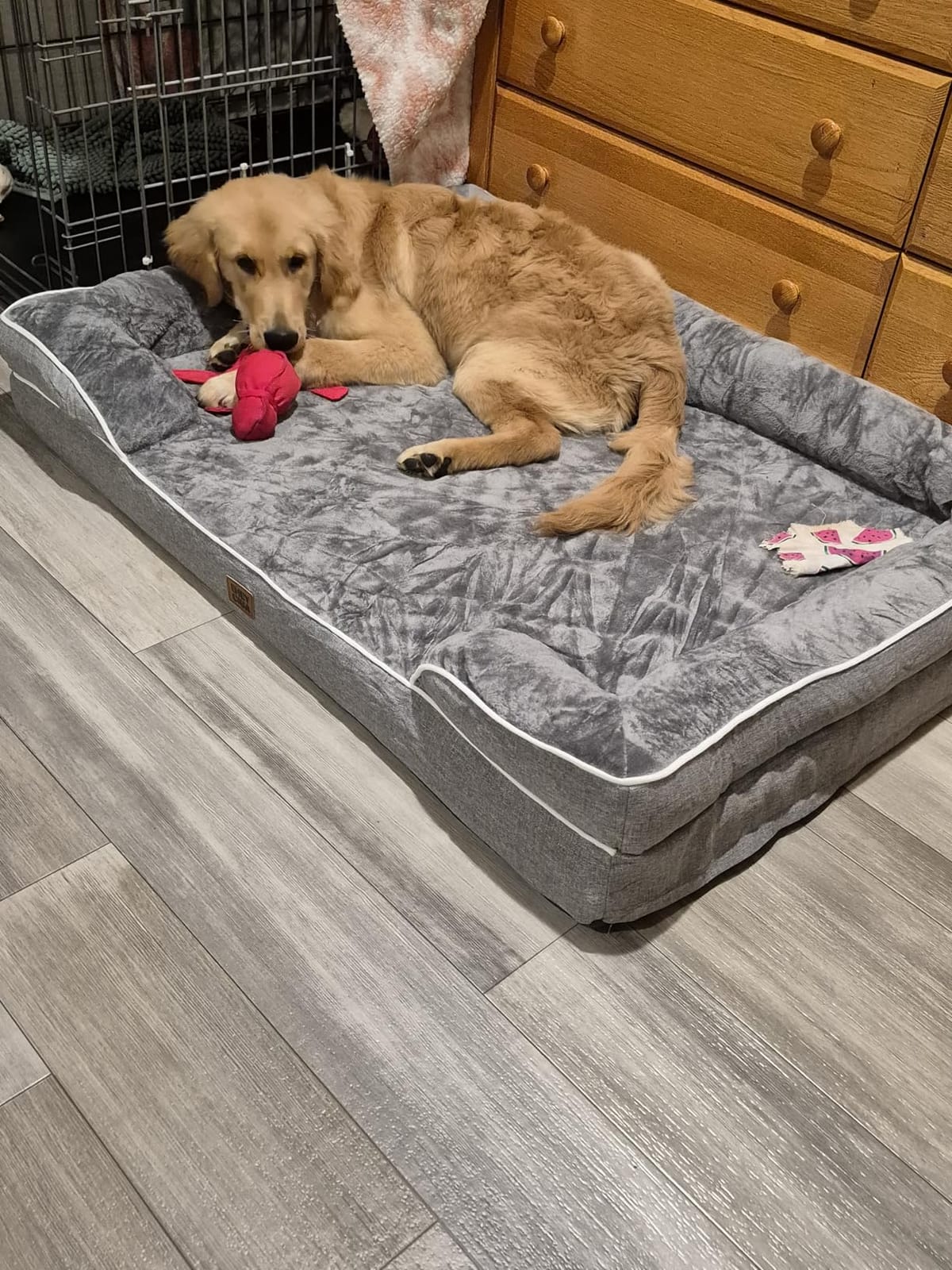 EHEYCIGA Orthopedic Dog Beds for Extra Large Dogs, Waterproof Memory Foam XL Dog Bed with Sides, Non-Slip Bottom and Egg-Crate Foam Big Pet Couch Bed with Washable Removable Cover, Camel customer photo 1