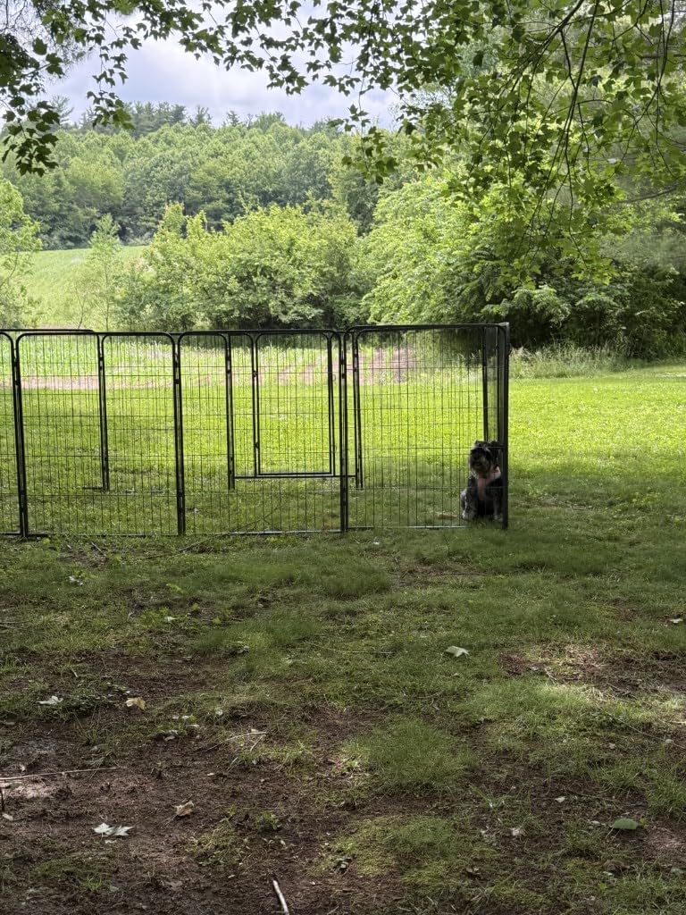 Kfvigoho Dog Playpen Outdoor Extra Wide 16 Panels Heavy Duty Dog Fence 47