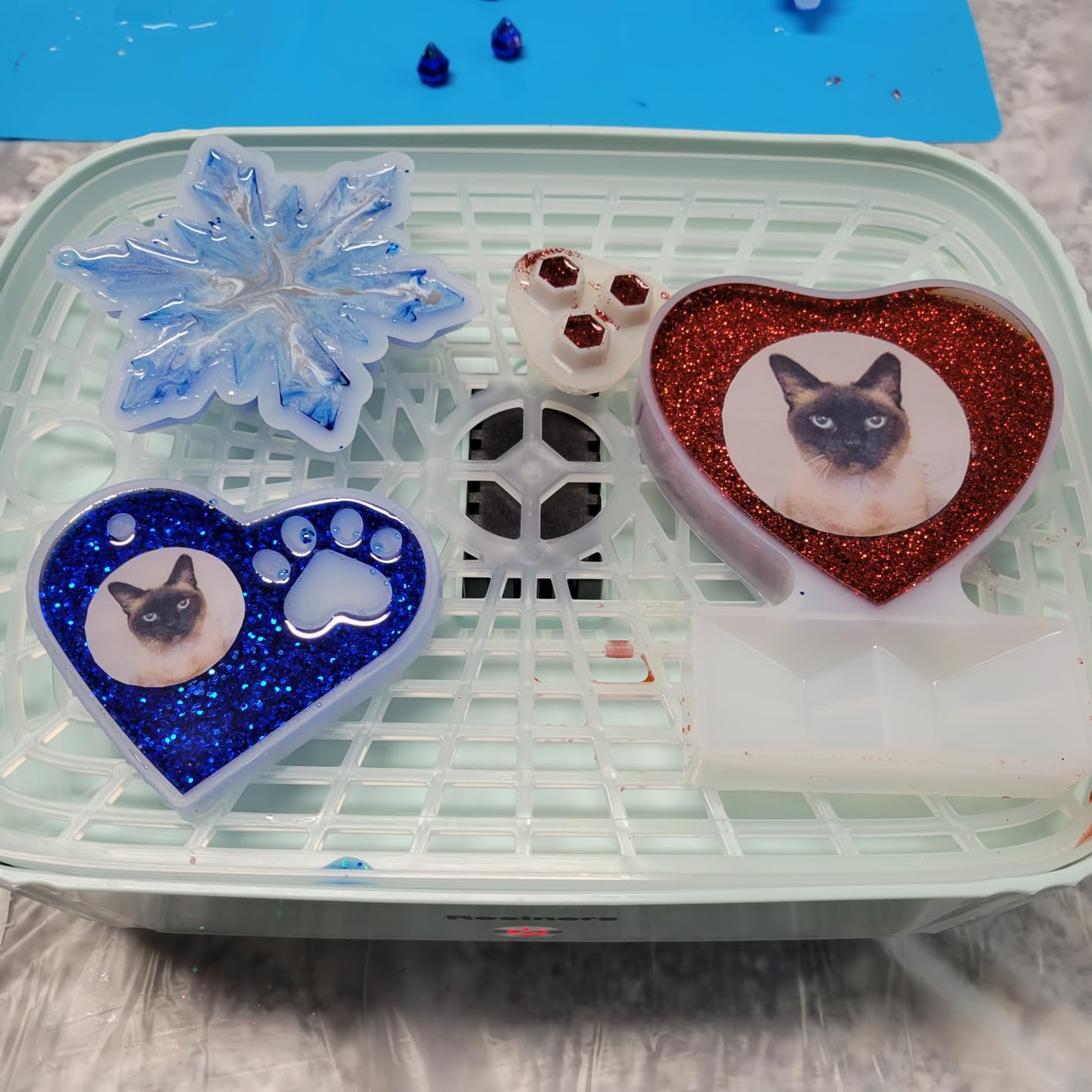 Resiners AirFast Resin Curing Machine with Large Tray for Epoxy Resin Molds customer photo 1