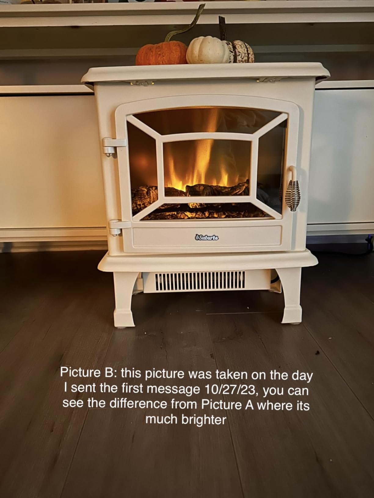 TURBRO Suburbs 20 in. Electric Fireplace Infrared Heater with Crackling Sound customer photo 1