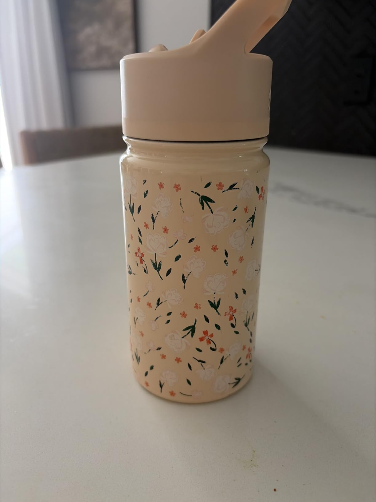 Simple Modern Kids Water Bottle with Straw Lid | 14oz Insulated Stainless Steel Kids Tumbler & Spill Proof Toddler Cup for School, Girls, Boys | Summit | Confetti customer photo 1