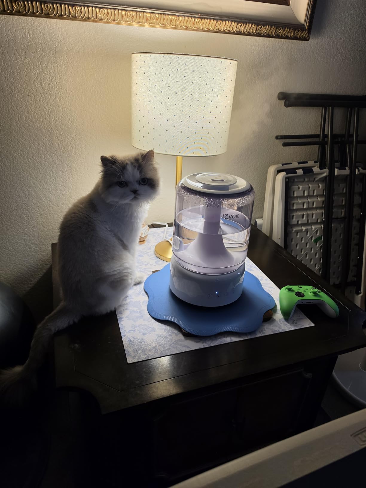 LEVOIT Humidifiers for Bedroom,Top-Fill Ultrasonic Cool Mist Humidifier customer photo 1