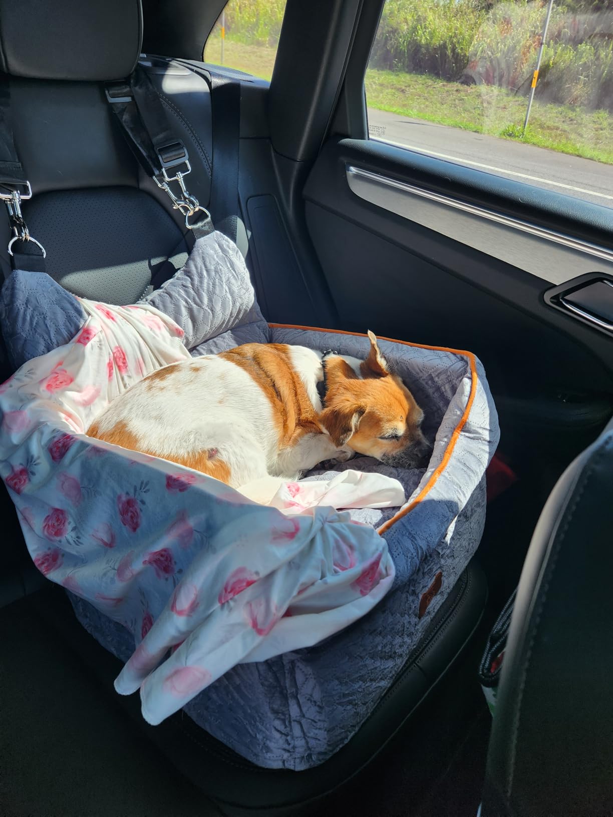 Dog Car Seat for Small Dogs Up to 25 lbs with 6-Inch Memory Foam Cushion | Elevated Booster Seat with Safety Belts, Storage Pockets and Removable Washable Cover for Front or Back Seats, Grey customer photo 1